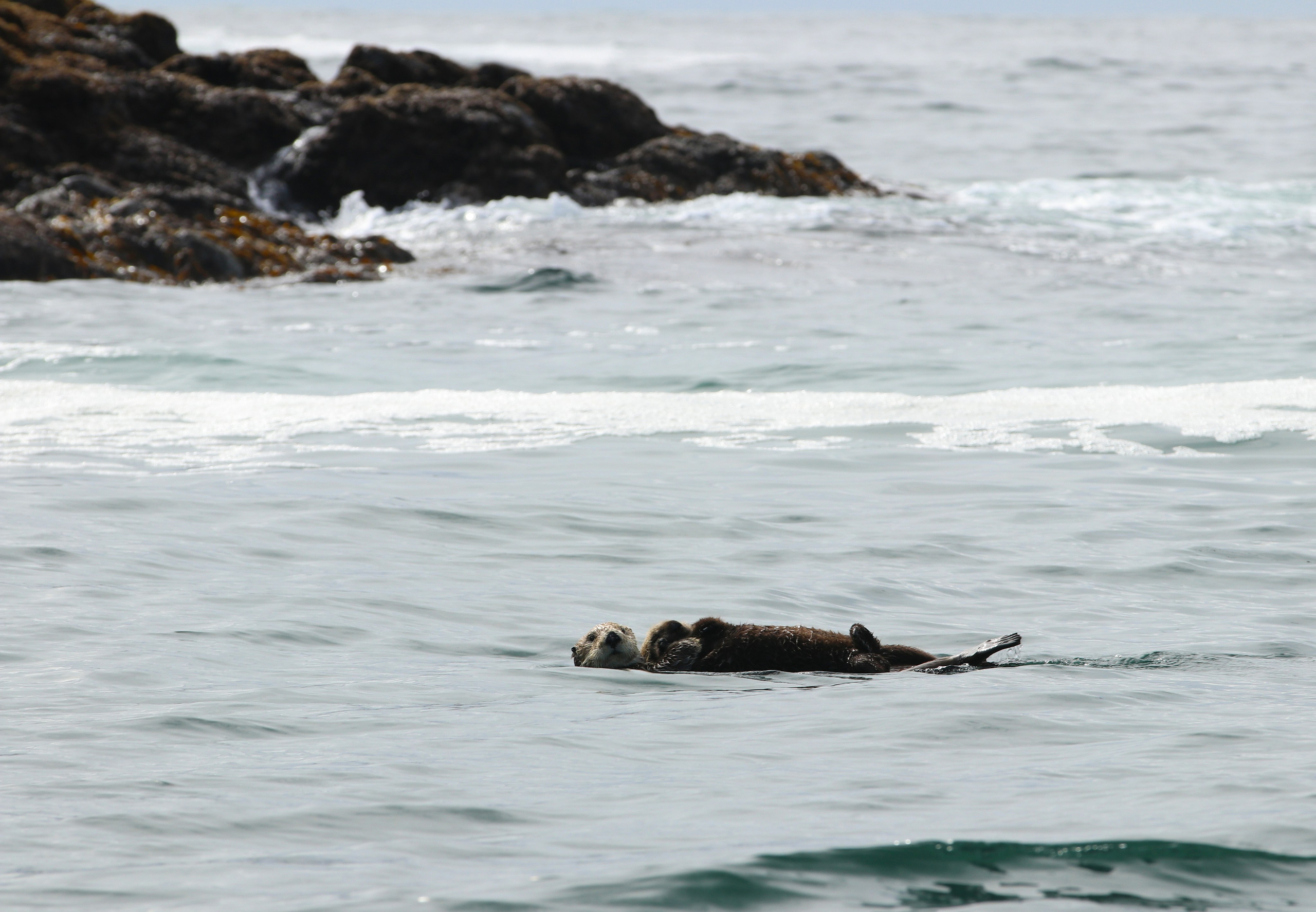 Камчатка и о. Парамушир. Июль 2024. Путешественник-фотограф из Санкт-Петербурга Татьяна Свистулина