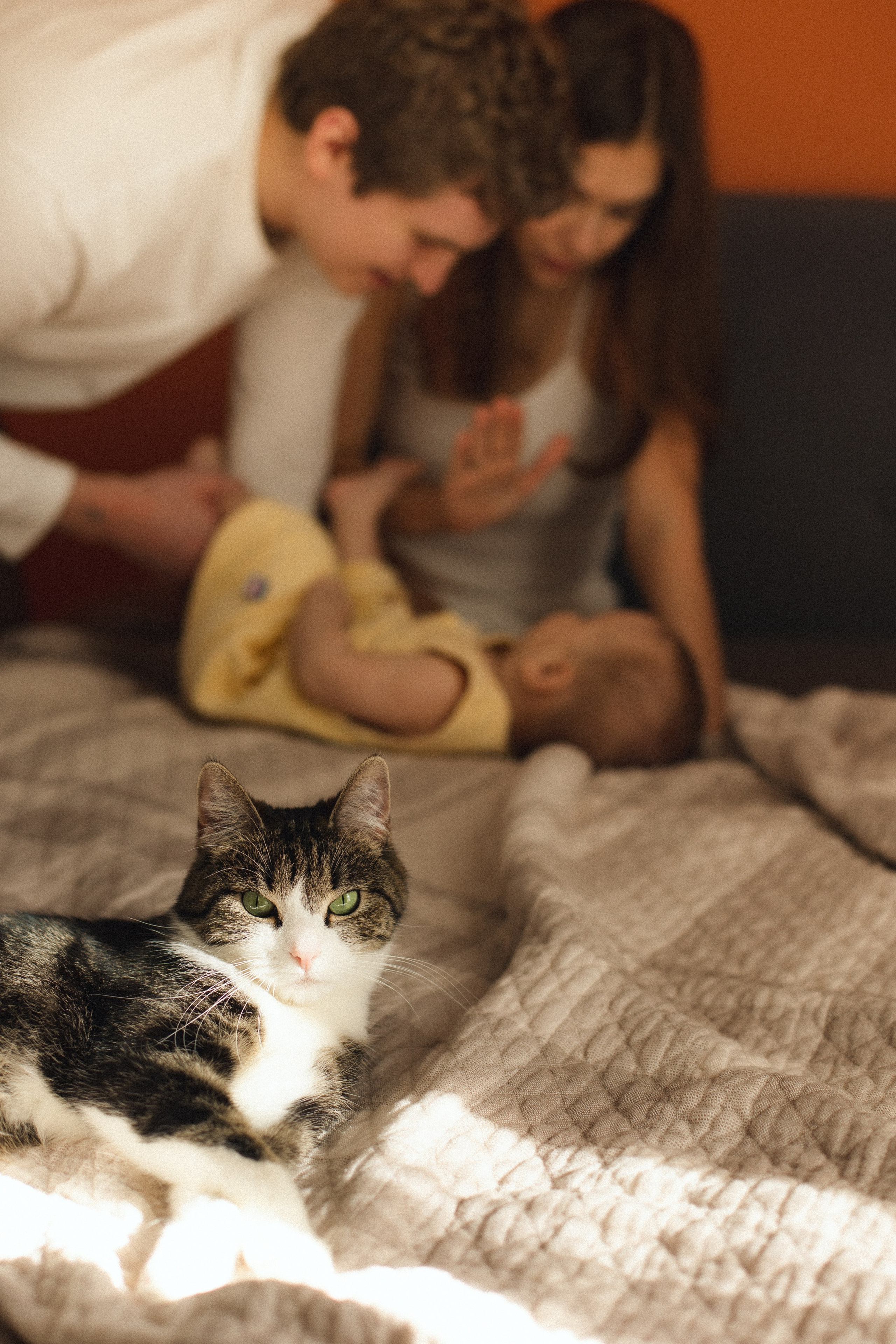 Весеннее настроение. Фотограф из Петербурга