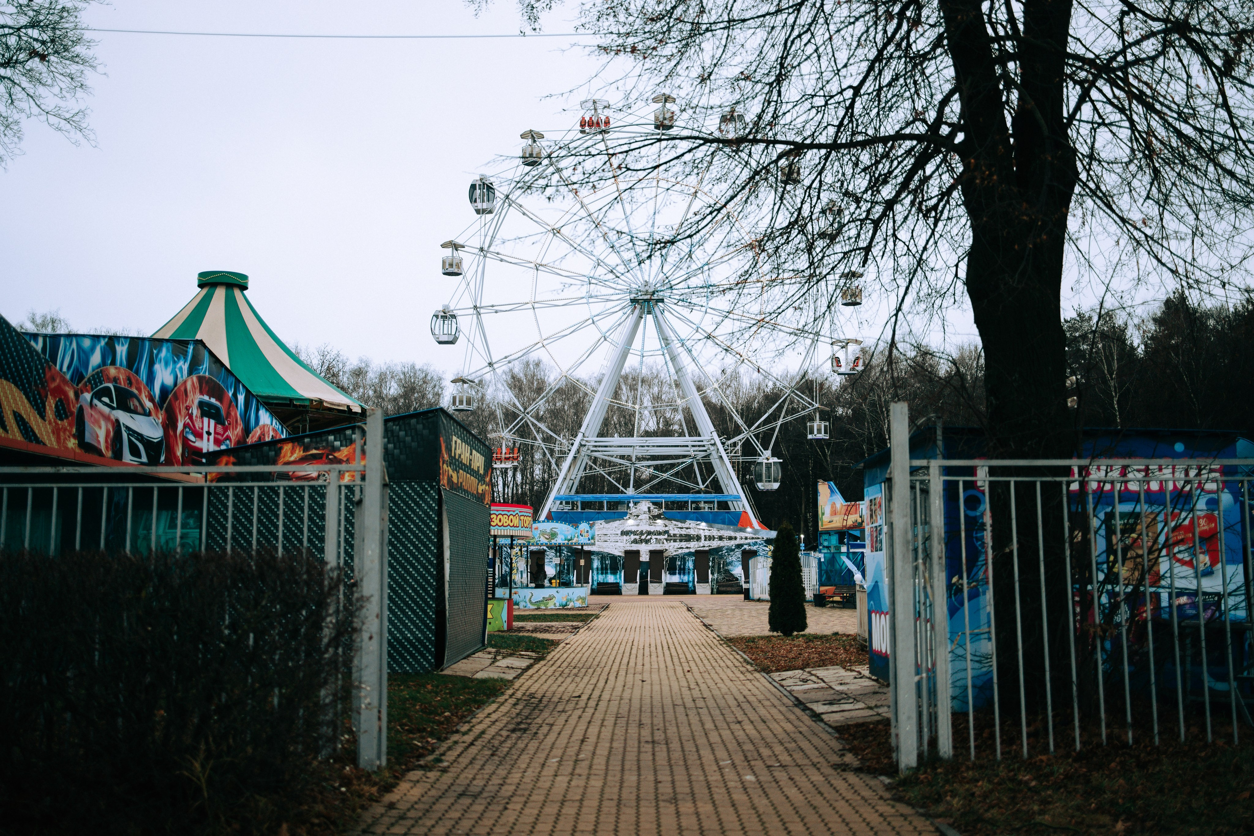 Осень, парк, экзотариум. Свадебный и семейный фотограф в Туле и области Маша Костина