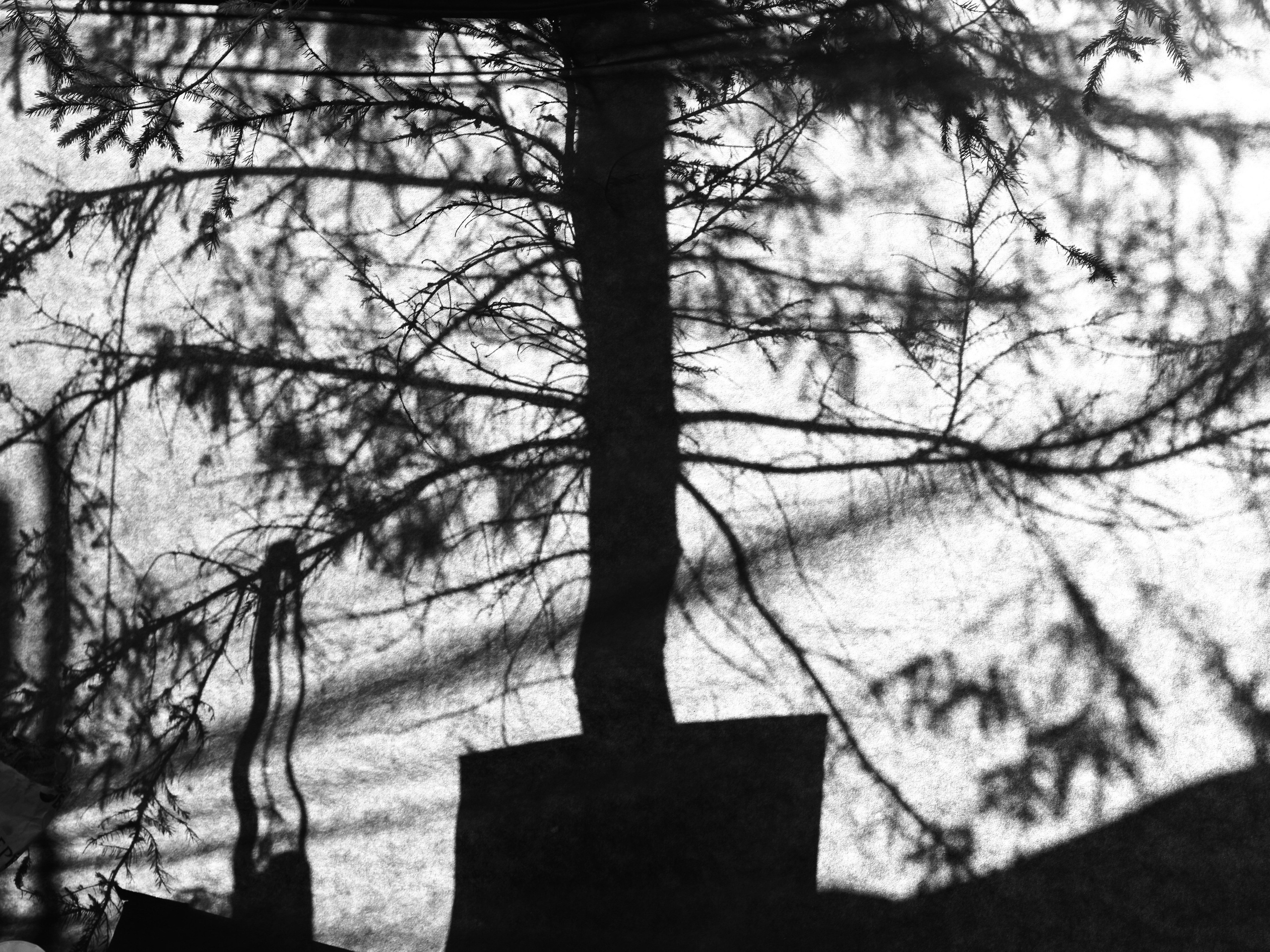 Портретный и концертный фотограф в Москве Мария Давыдова