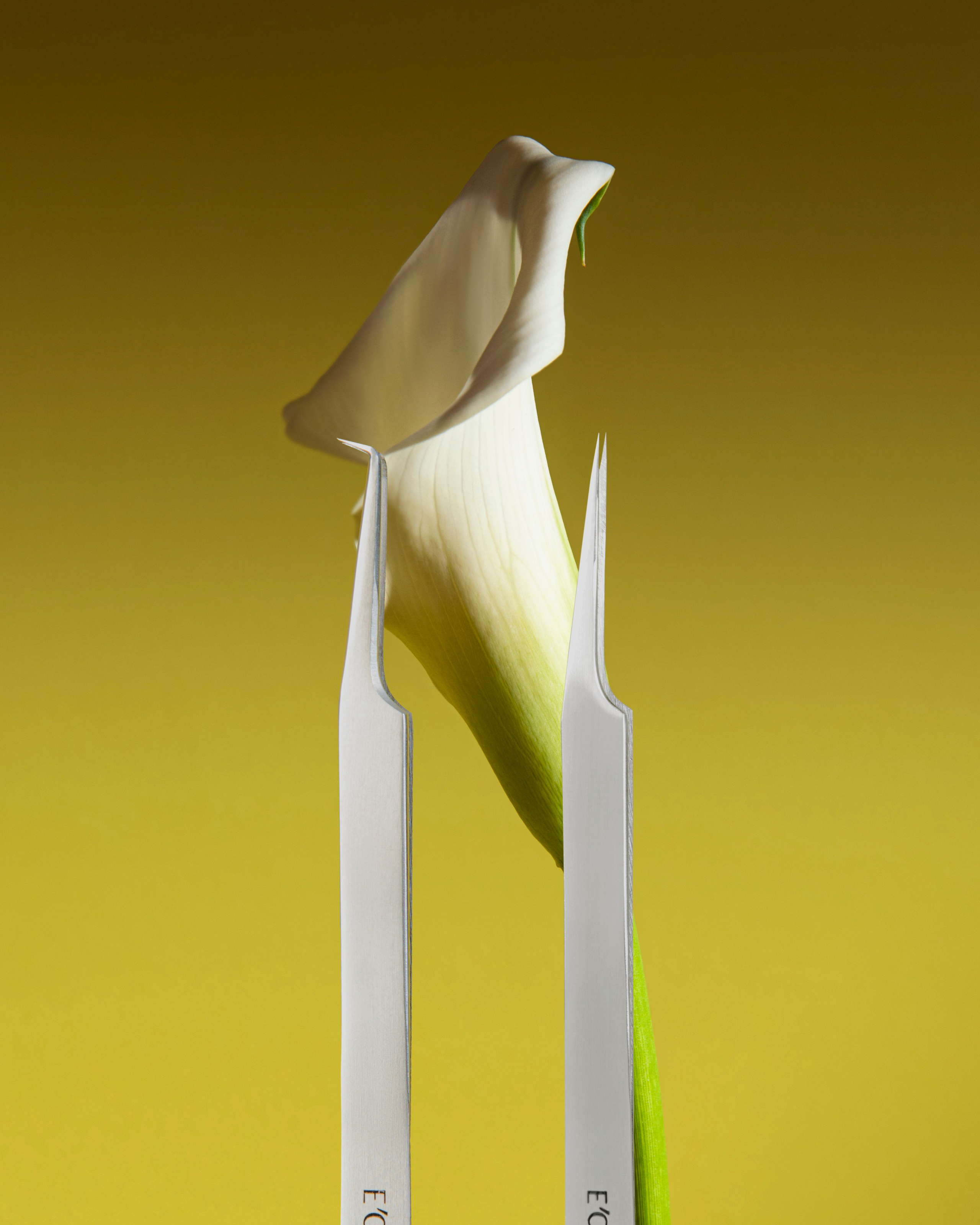 Бьюти (косметика, уход, аксессуары). Предметная фотография