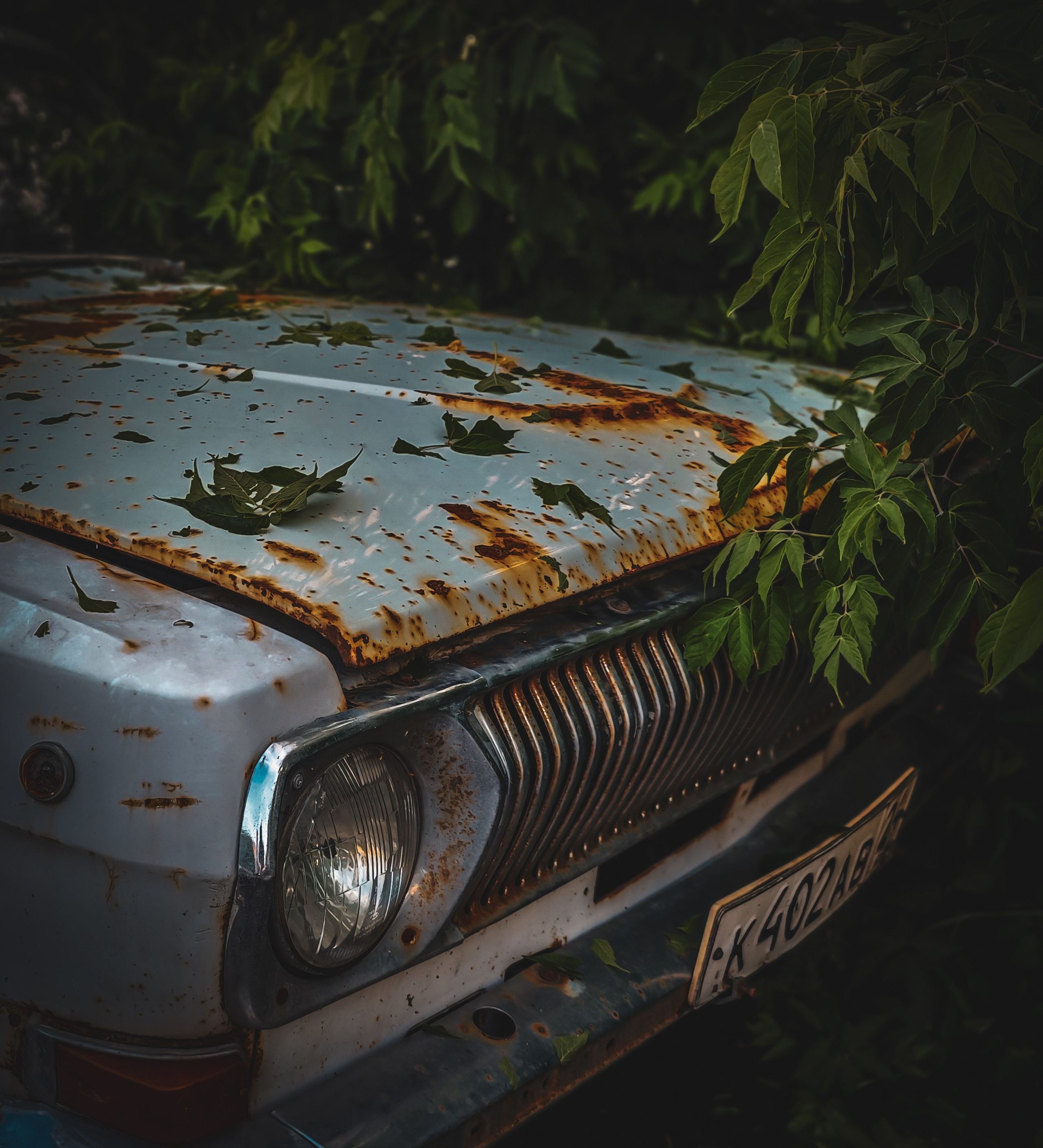 Тихий финиш. Игорь Урывский. Фотограф Красноярск