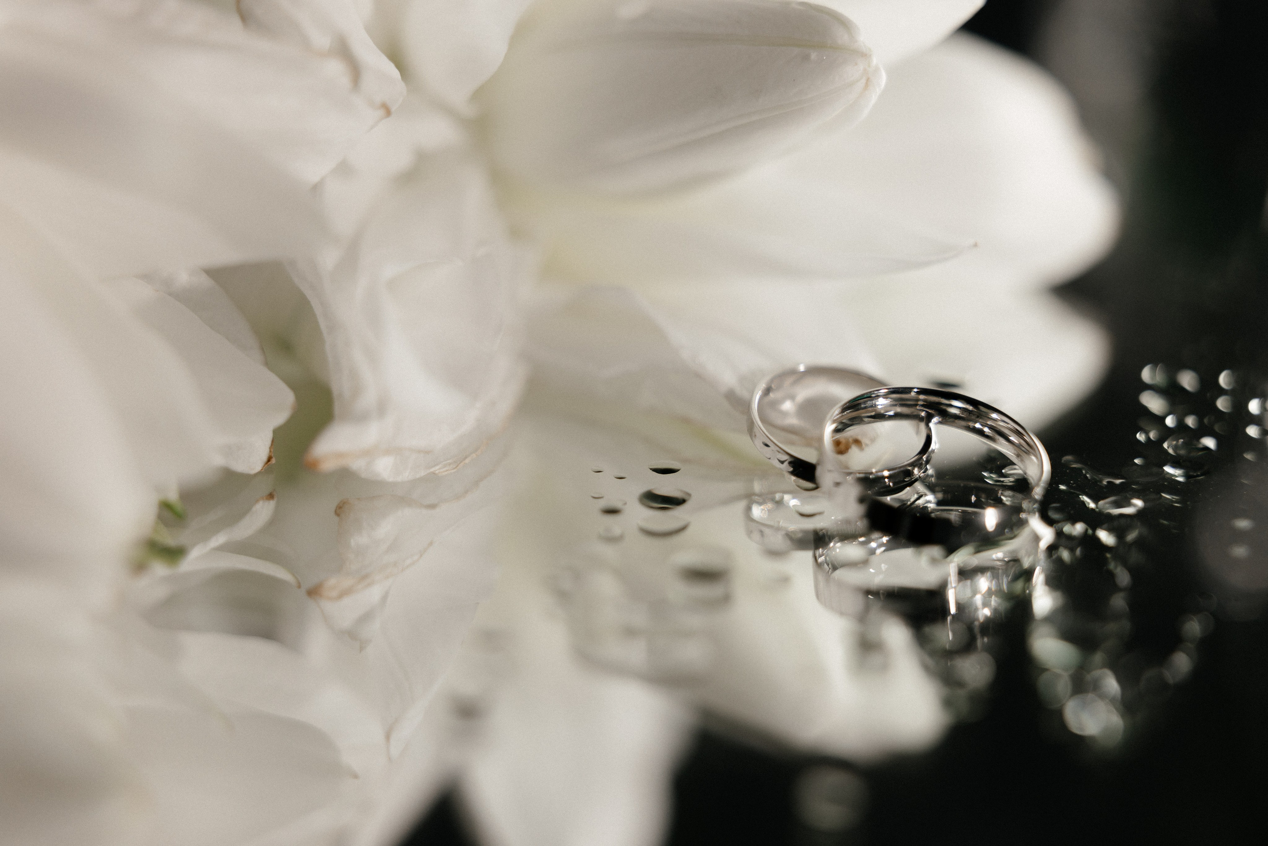 Диана и Илья. Коваленко Алена │ Фотограф