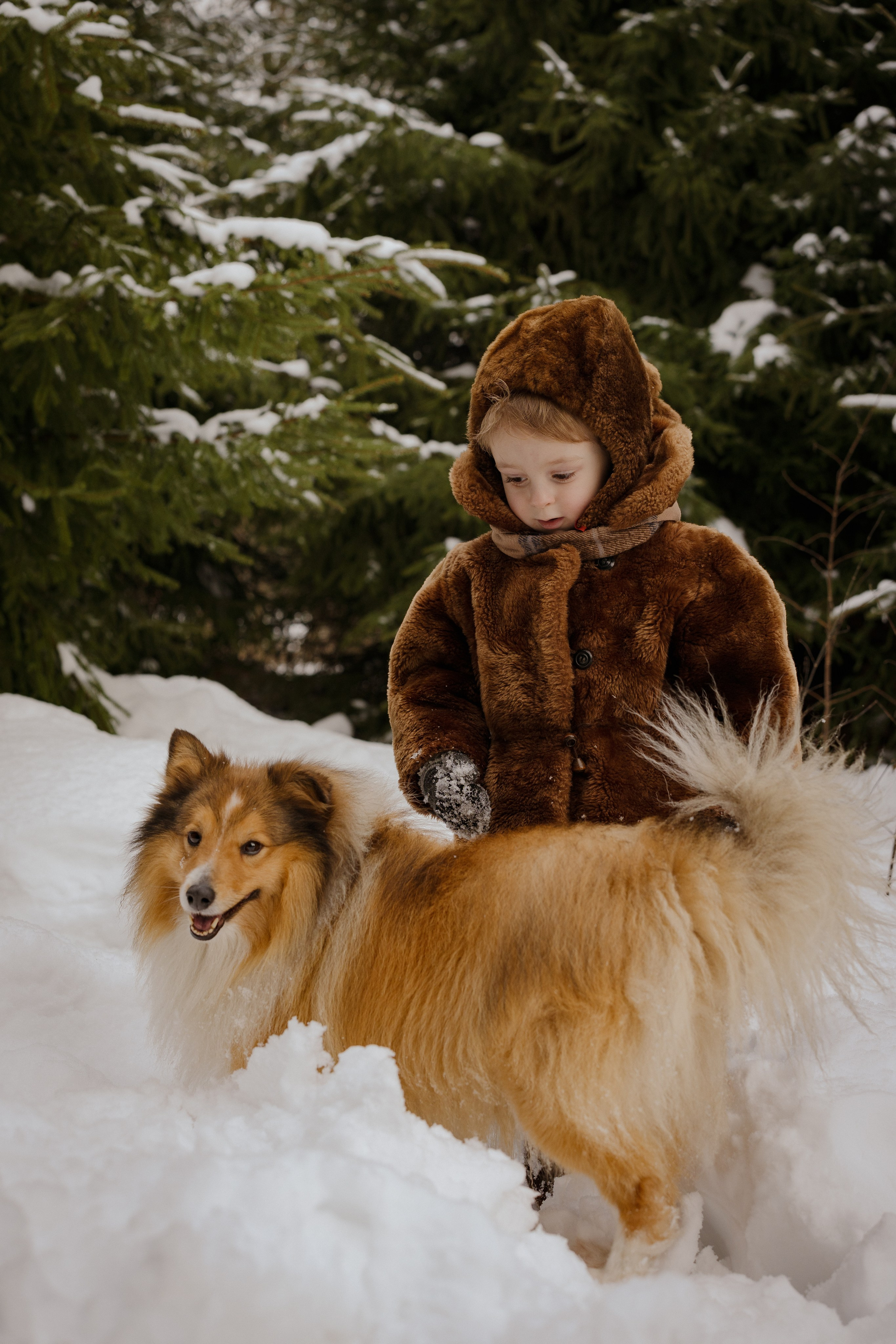 Ariana. Портретный и семейный фотограф в Москве/Видное