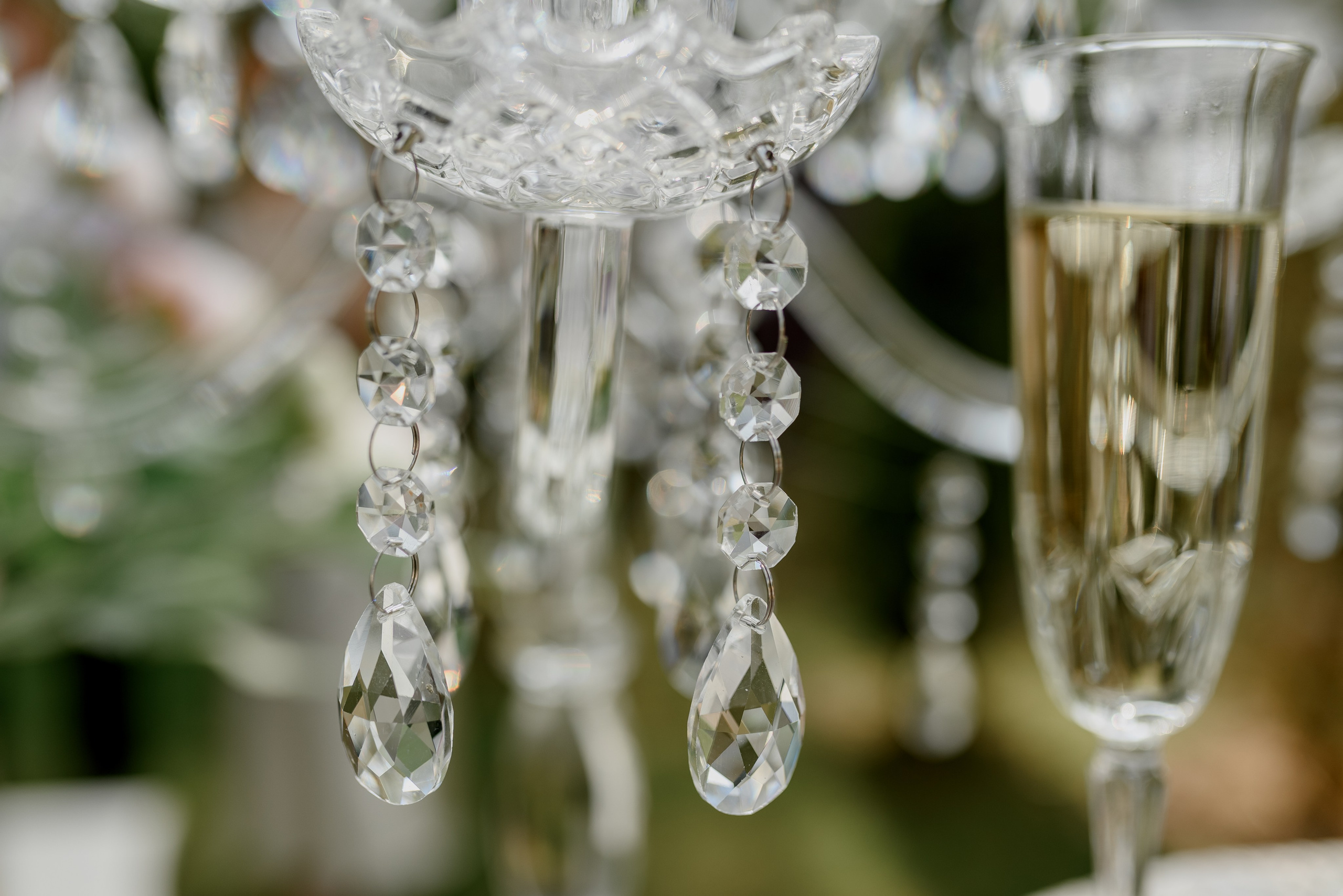 Фотограф Анна Абрикосова