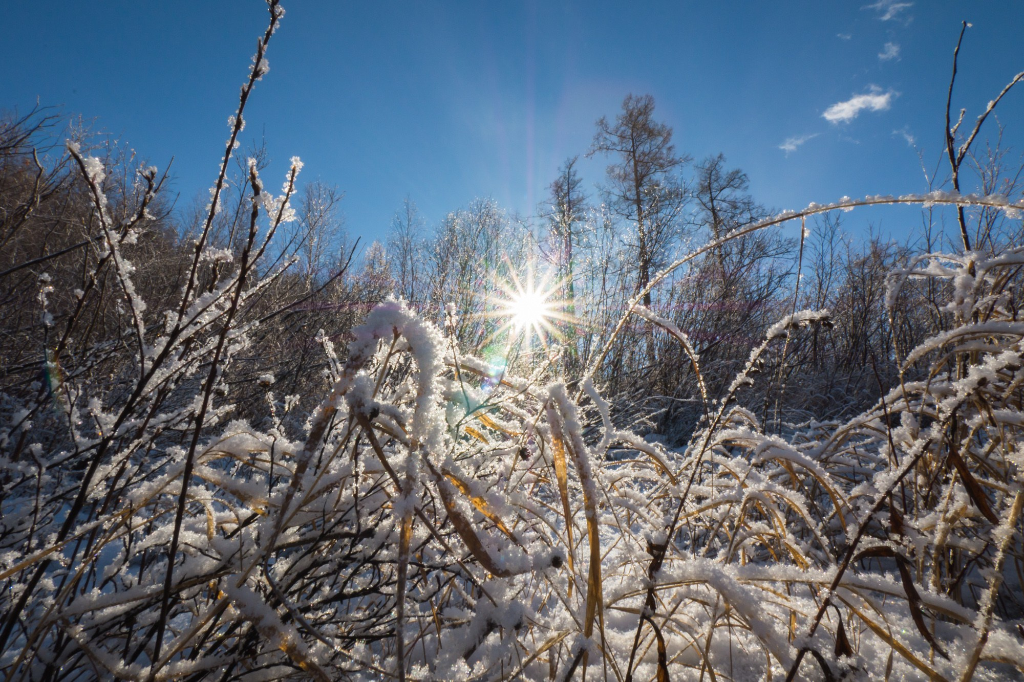 Якутия. Фотограф Алексей Скоробогатько