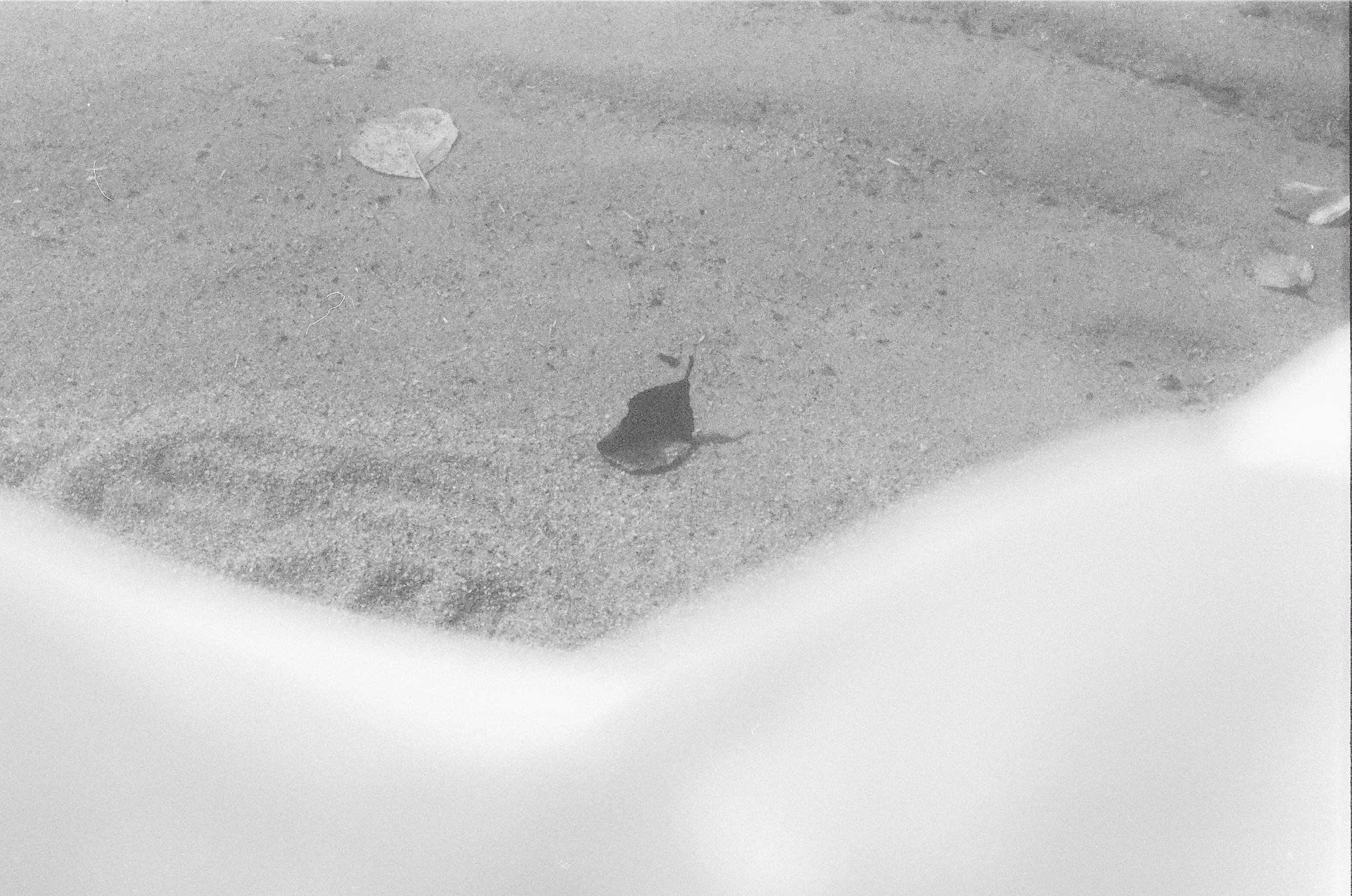 Плёнка 35/120мм. Katya Medvedeva