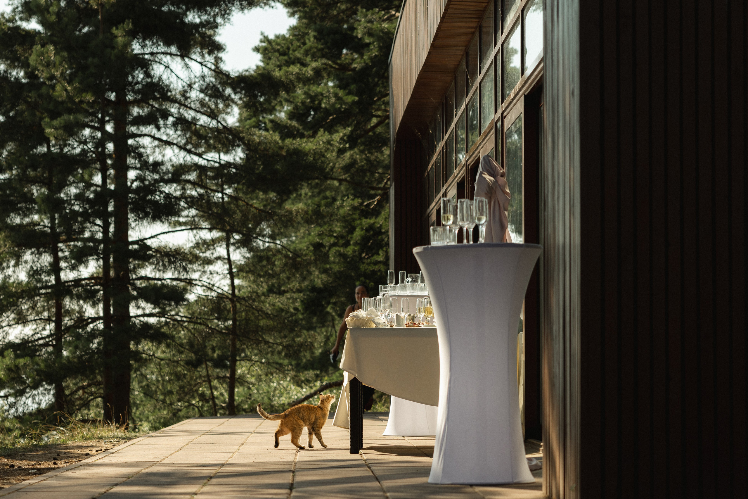 Мурашками. Свадебный фотограф Ярославль, Рыбинск