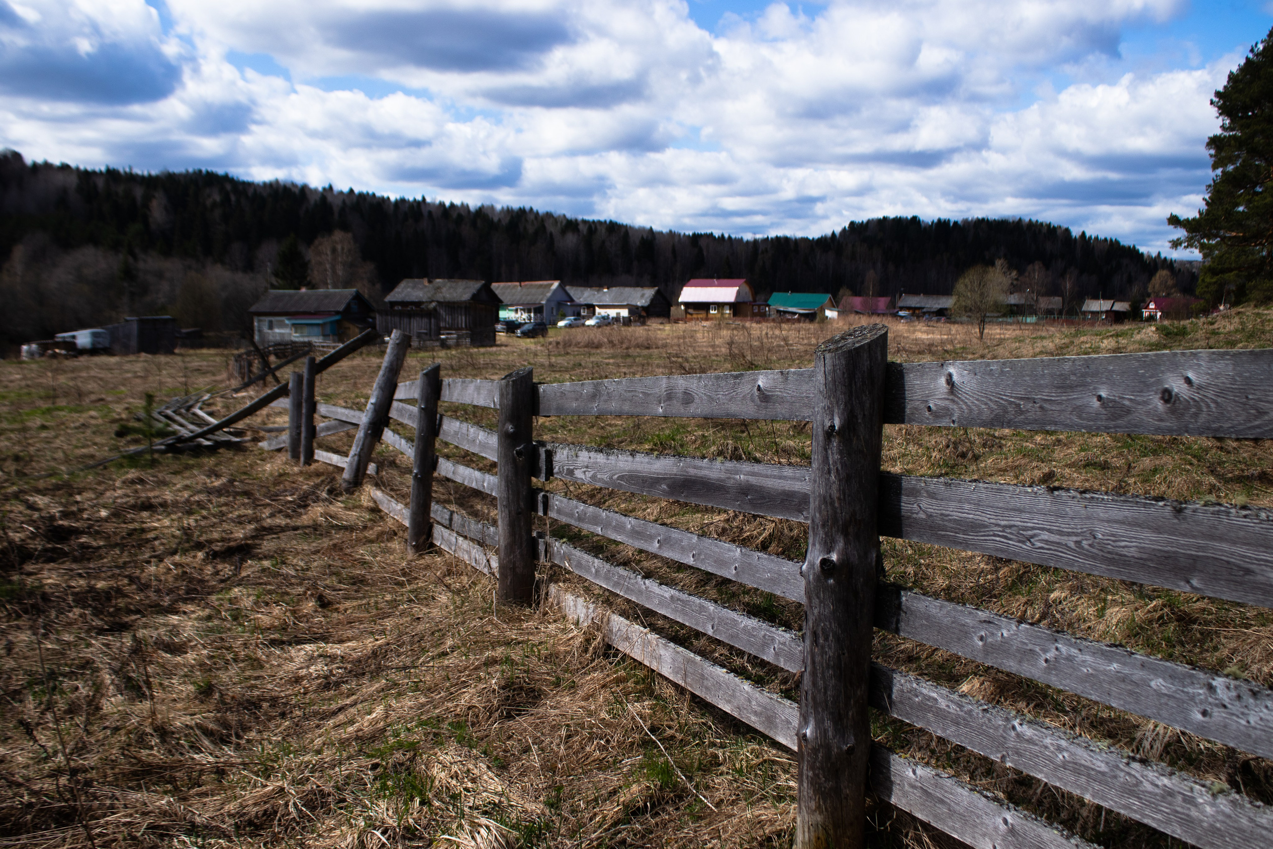 Вепсский ковчег. Полина Щапова БМК235 Медиаком — НИУ ВШЭ