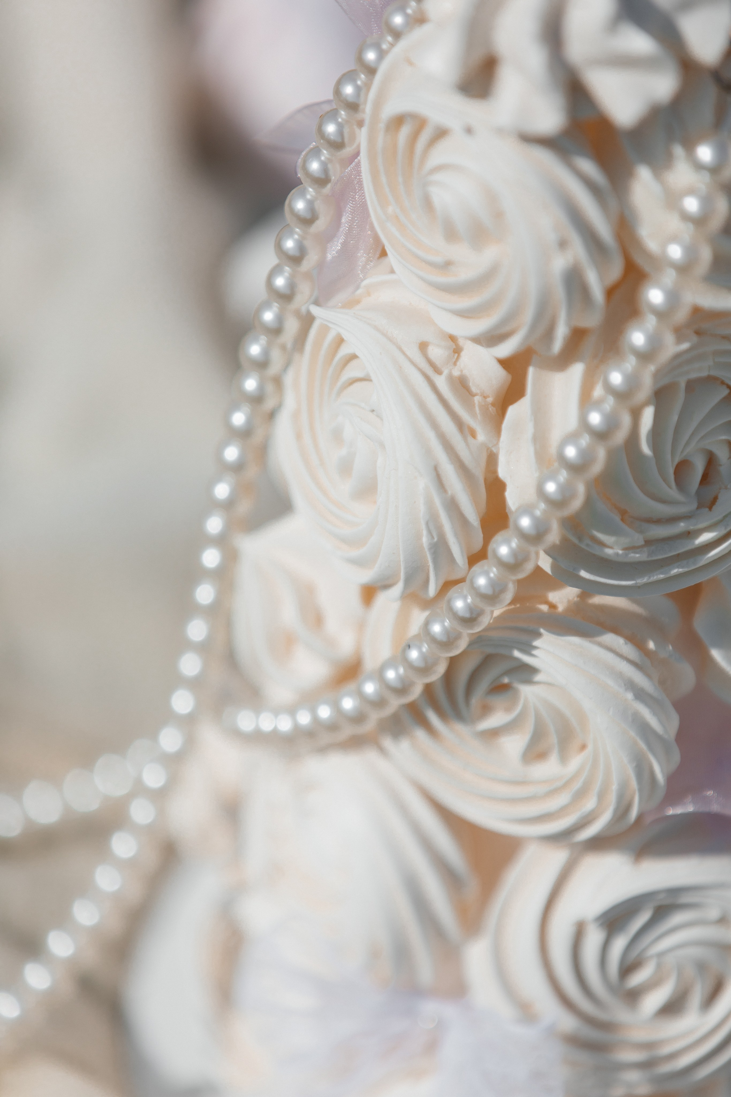 D&X. Фотограф Таганрог Хребет София