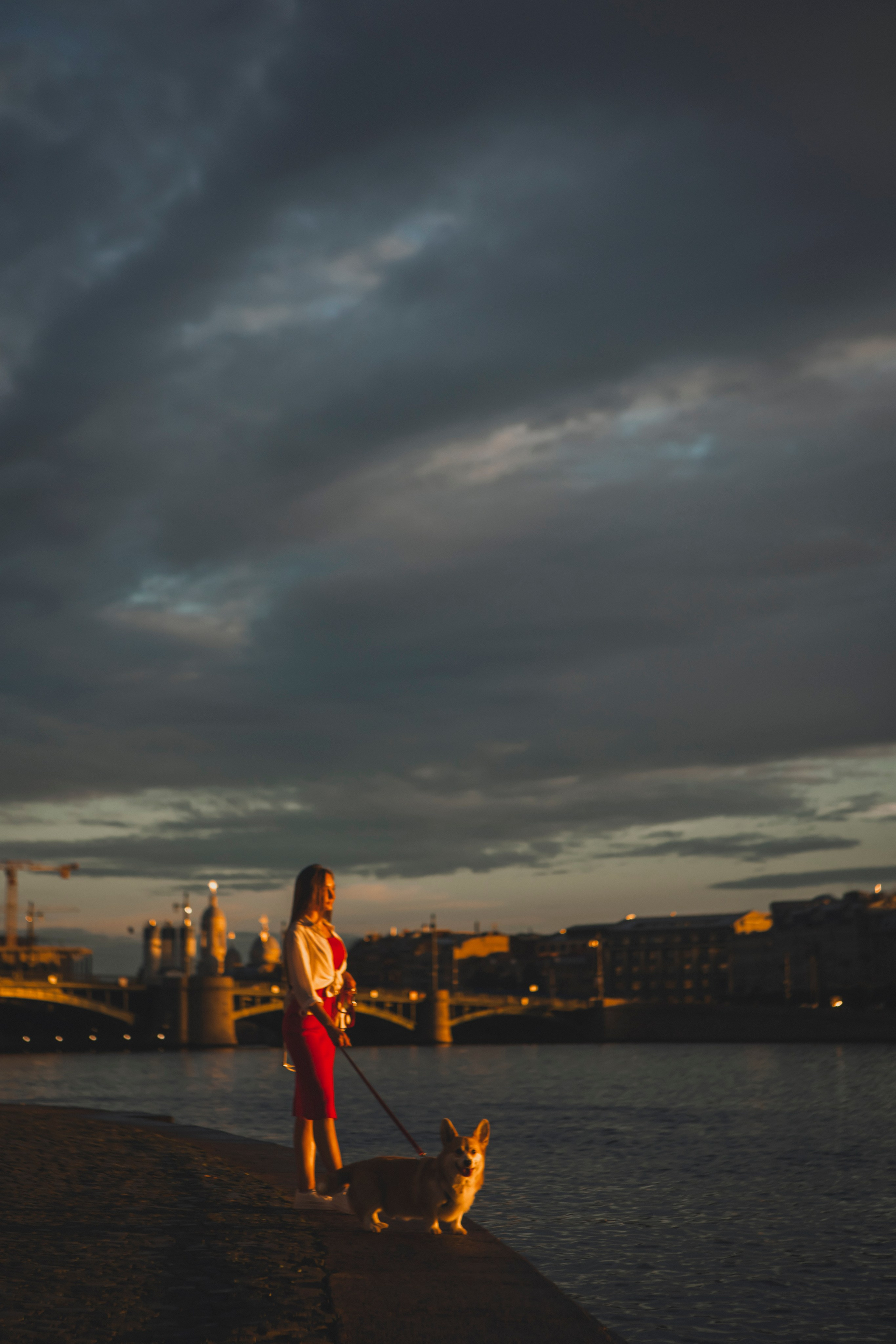 Настя и Стёпа. Фотограф-анималист в Санкт-Петербурге Алина Яхонт