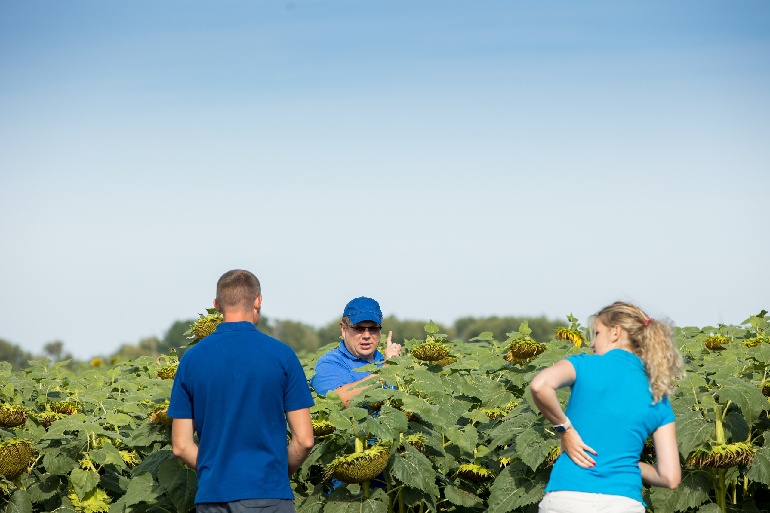 Решения для сельского хозяйства BASF 16.08.2022. Владислав Волков | Фотография и видеосъемка в Воронеже