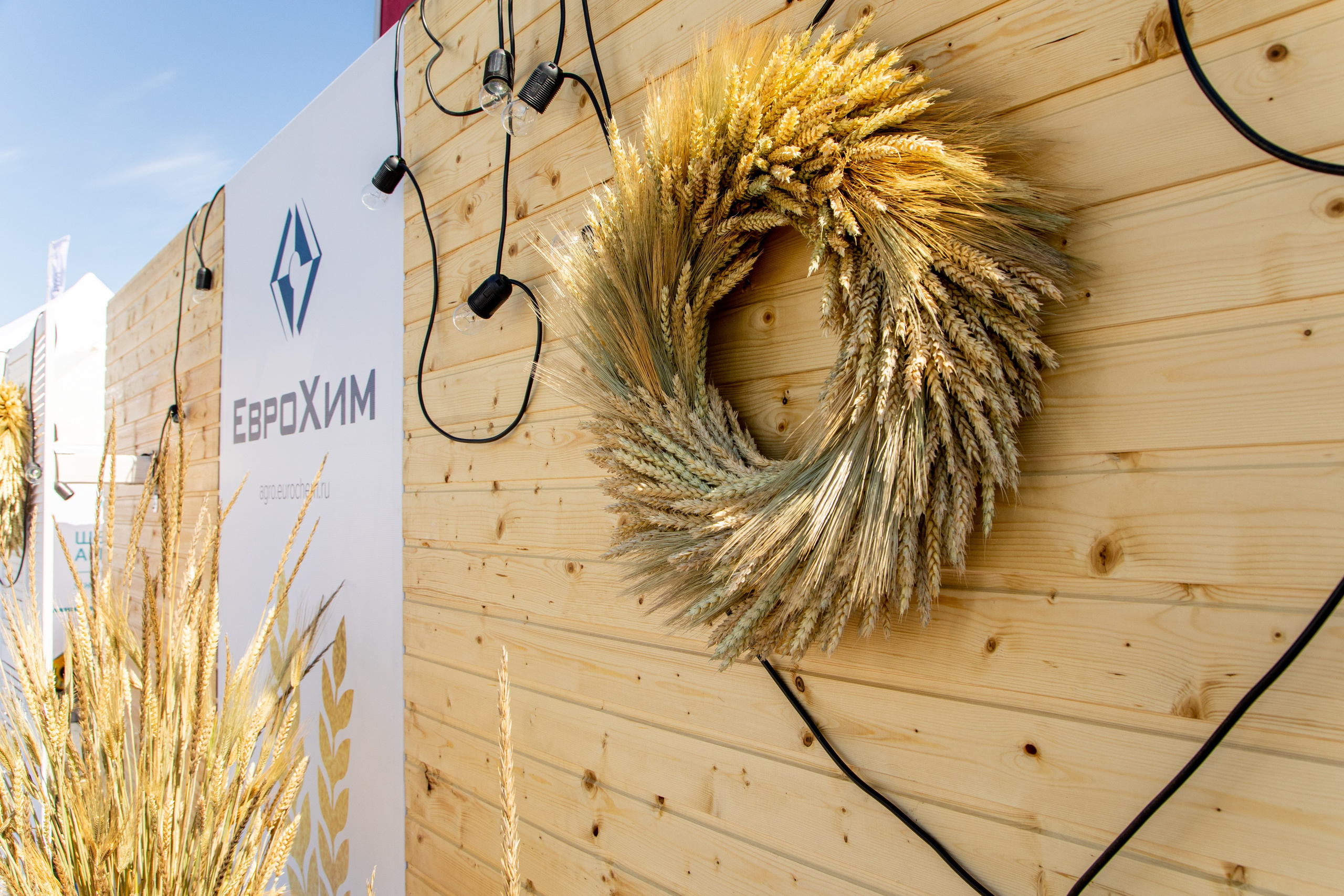 День Поля 2022. Владислав Волков | Фотография и видеосъемка в Воронеже