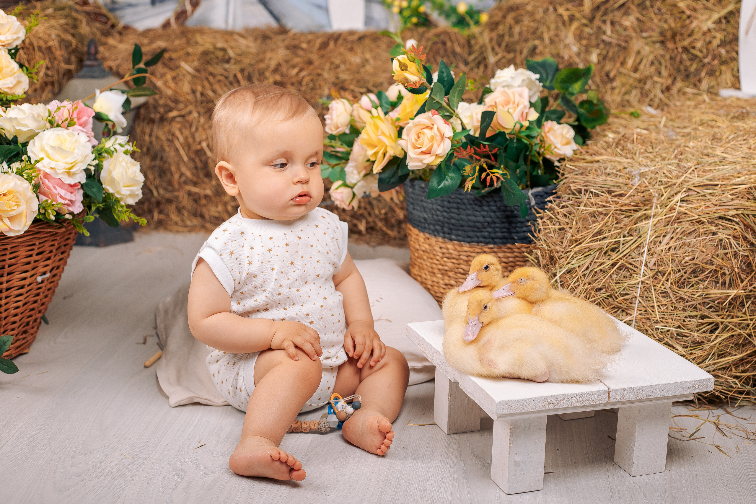 Фотосессия с утятами фотостудия спб. Фотограф в Санкт-Петербурге, Анна Скворцова