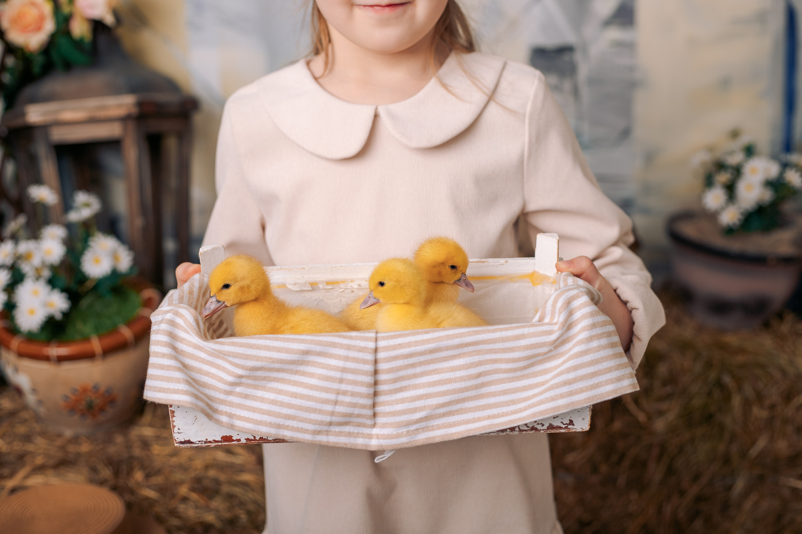 Пасхальный фотодень спб фотосессия с цыплятами и утятами. Фотограф в Санкт-Петербурге, Анна Скворцова