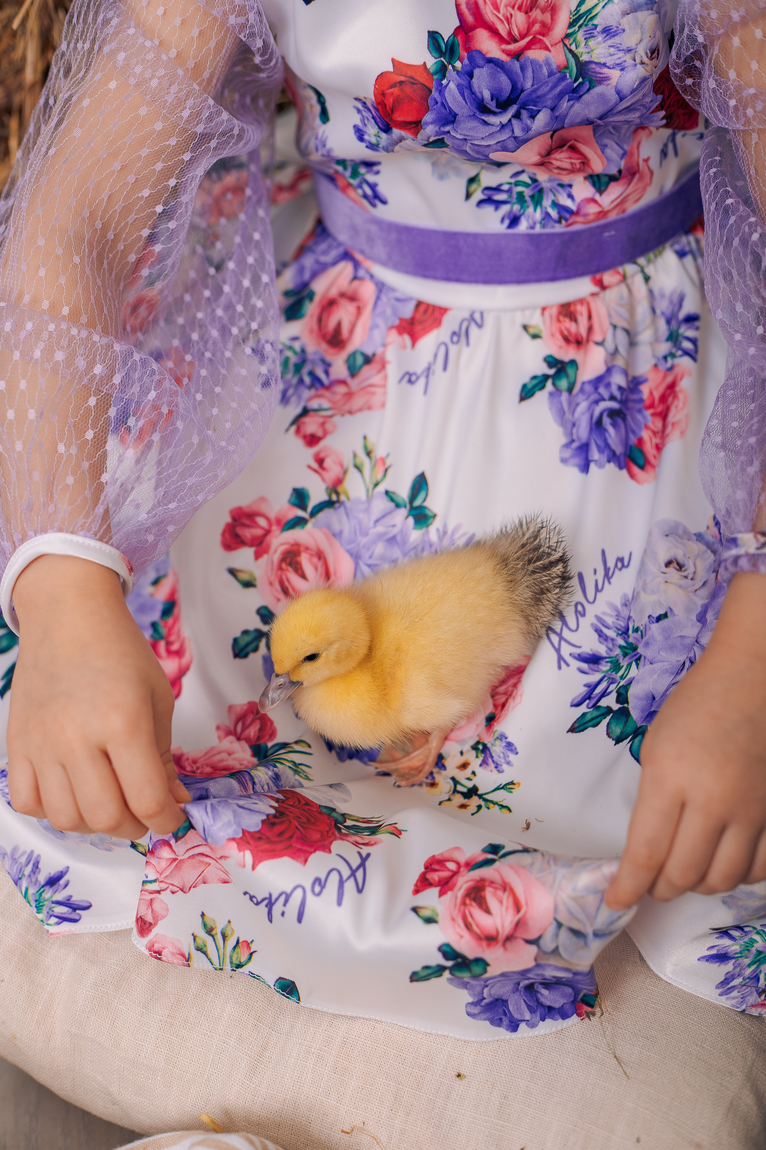 Пасхальный фотодень спб фотосессия с цыплятами и утятами. Фотограф в Санкт-Петербурге, Анна Скворцова