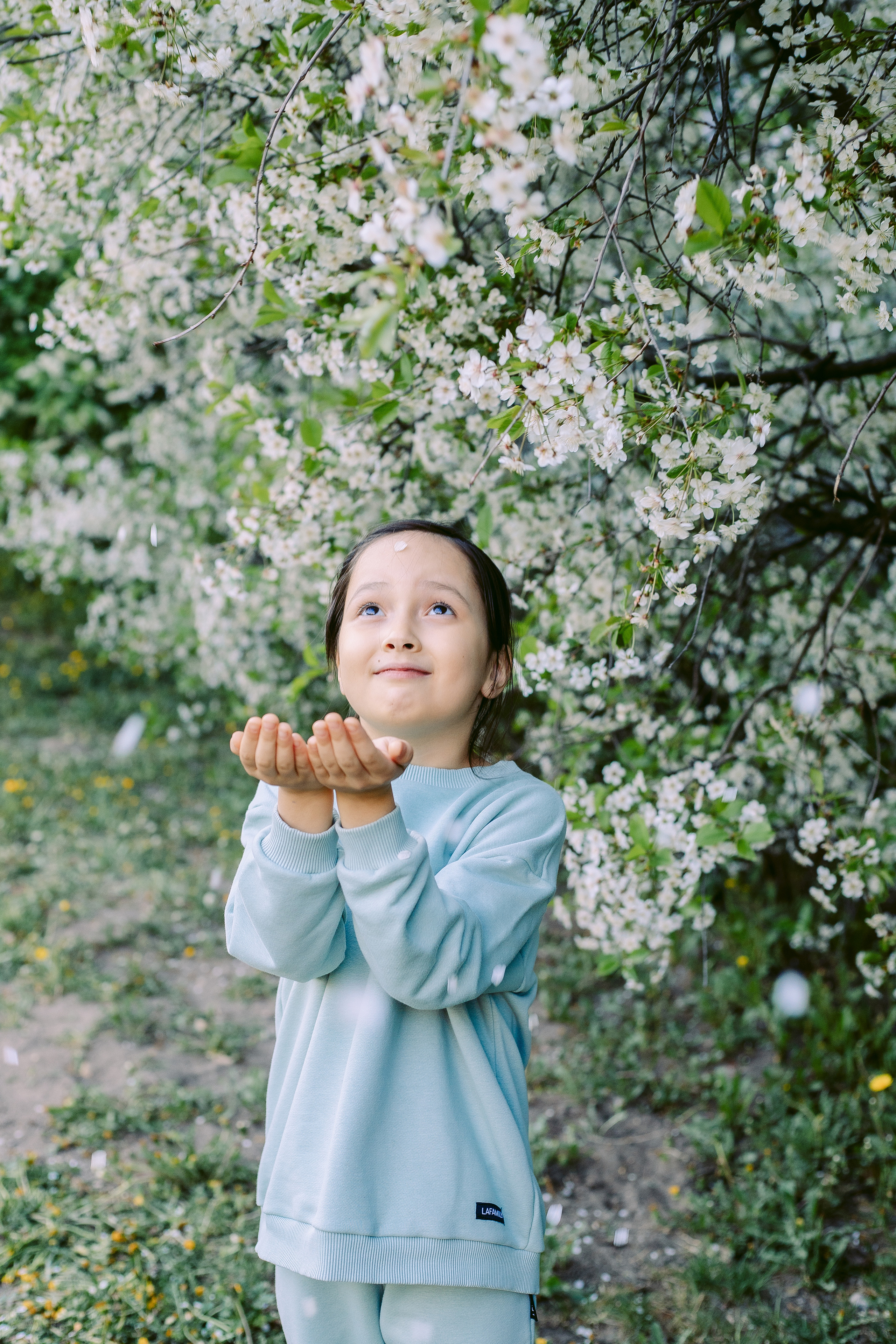 Фотосессия в цветущих сливах и черемухе. Фотограф в Санкт-Петербурге, Анна Скворцова