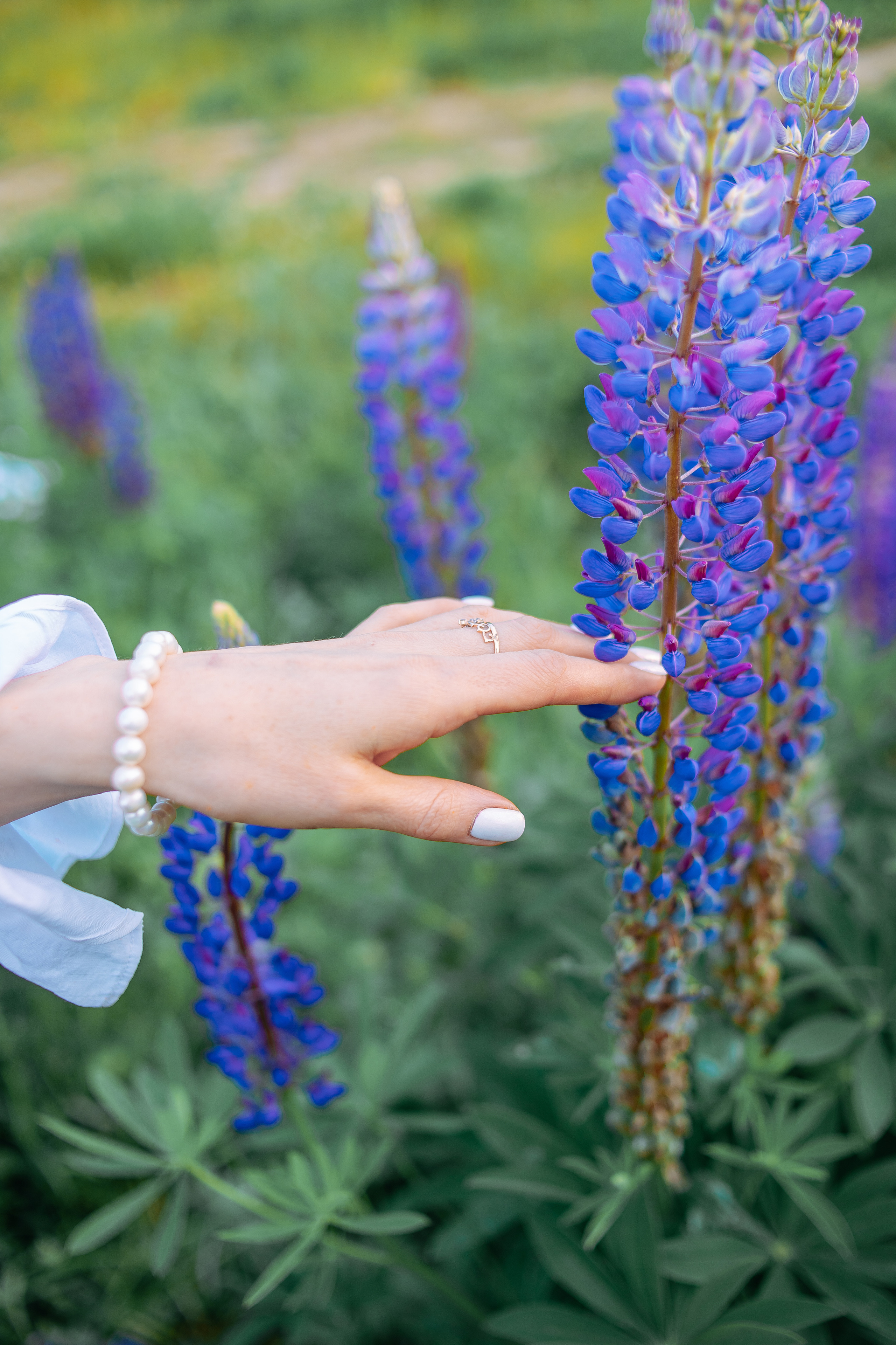 Образ на съемку с люпинами и сиренью. Фотограф в Санкт-Петербурге, Анна Скворцова