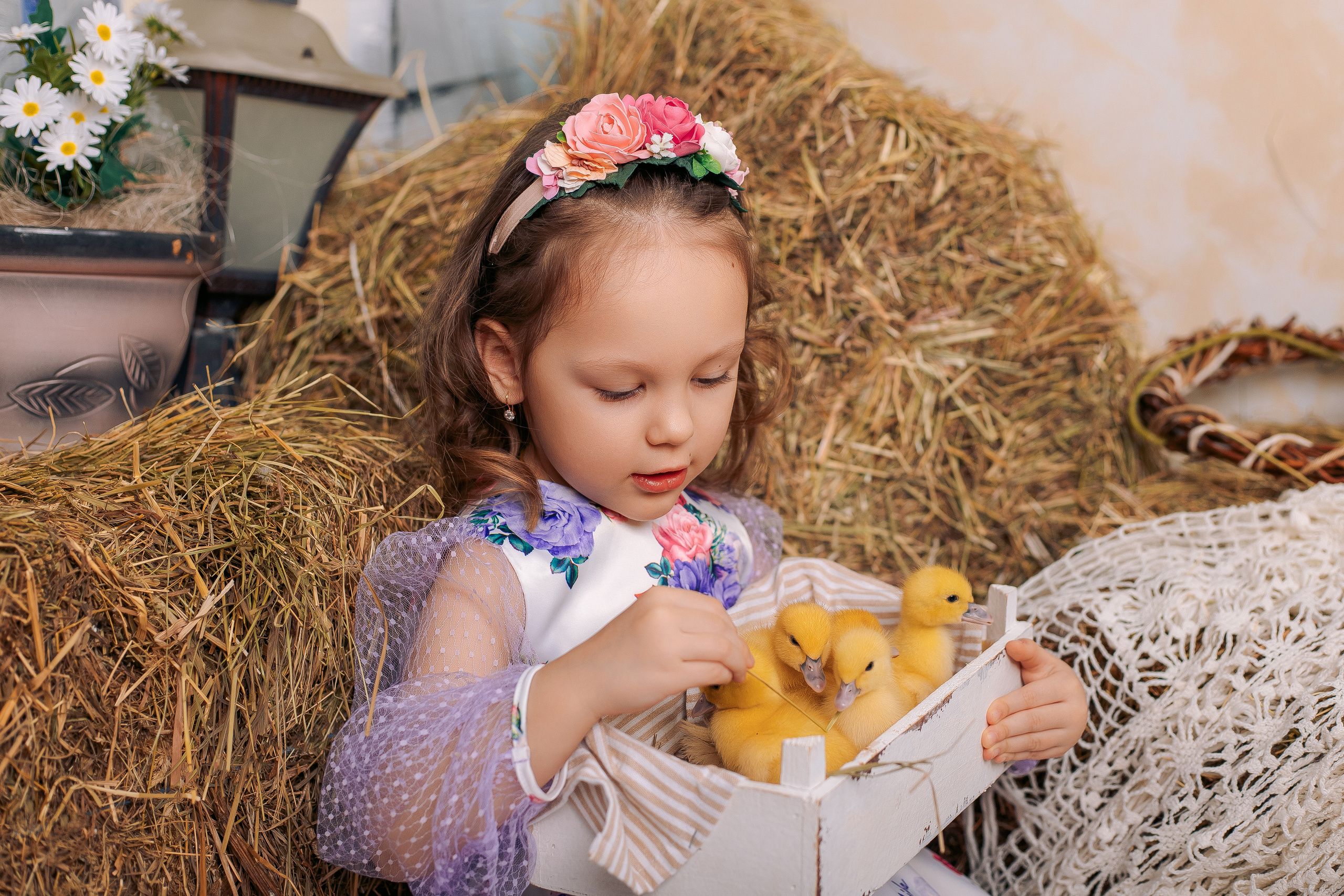 Пасхальный фотодень спб фотосессия с цыплятами и утятами. Фотограф в Санкт-Петербурге, Анна Скворцова