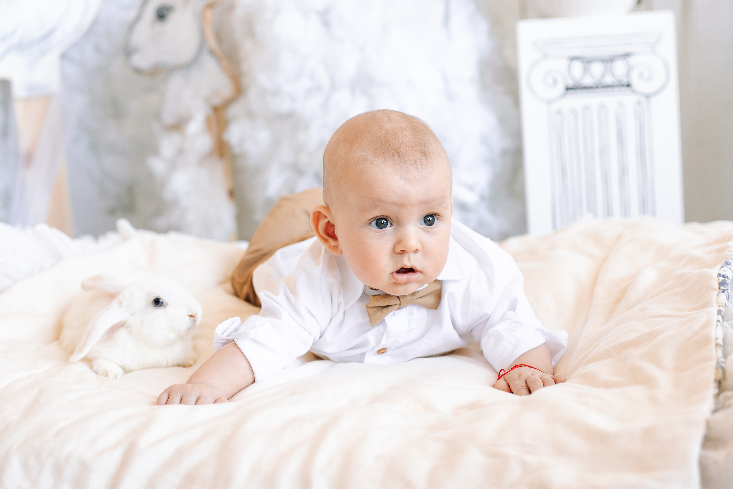 Пасхальная фотосессия зал Мастерская. Фотограф в Санкт-Петербурге, Анна Скворцова