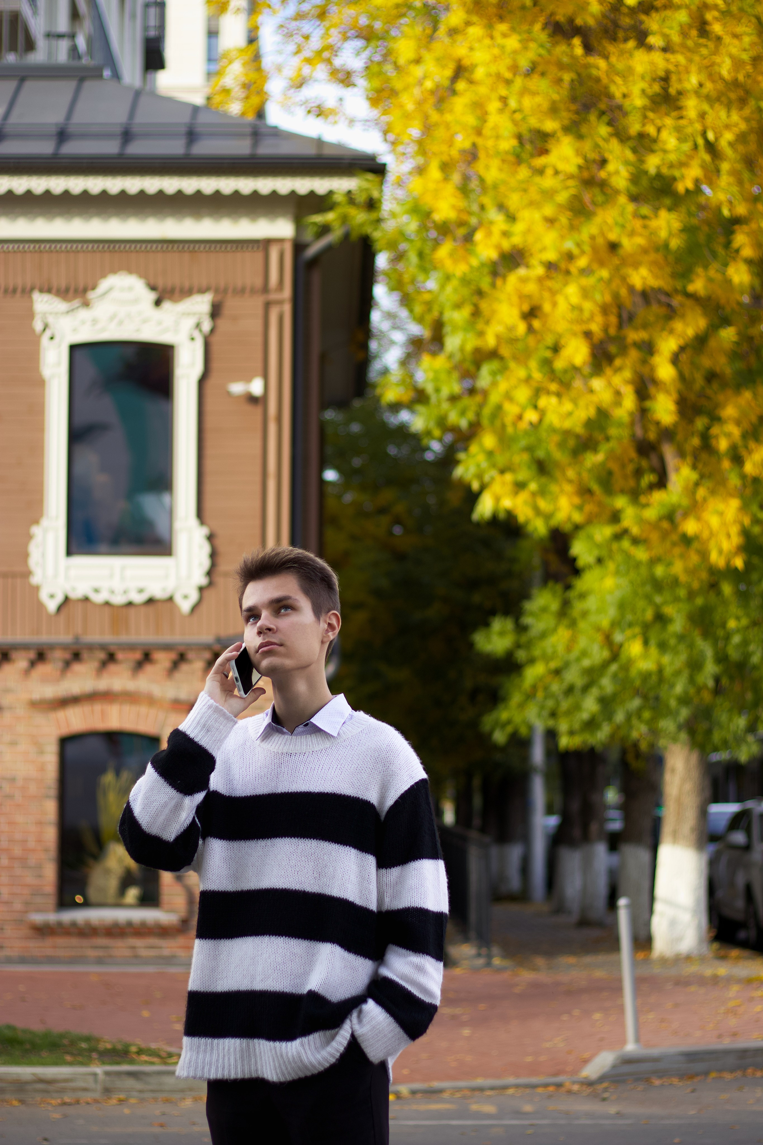 Портрет. Pupov.png