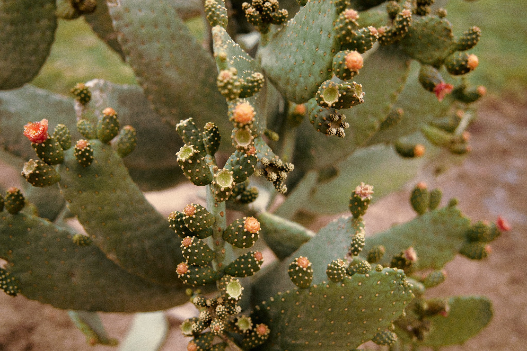 Улица горизонтальная. Jorgis — фотограф в Хургаде / обучение фотографии