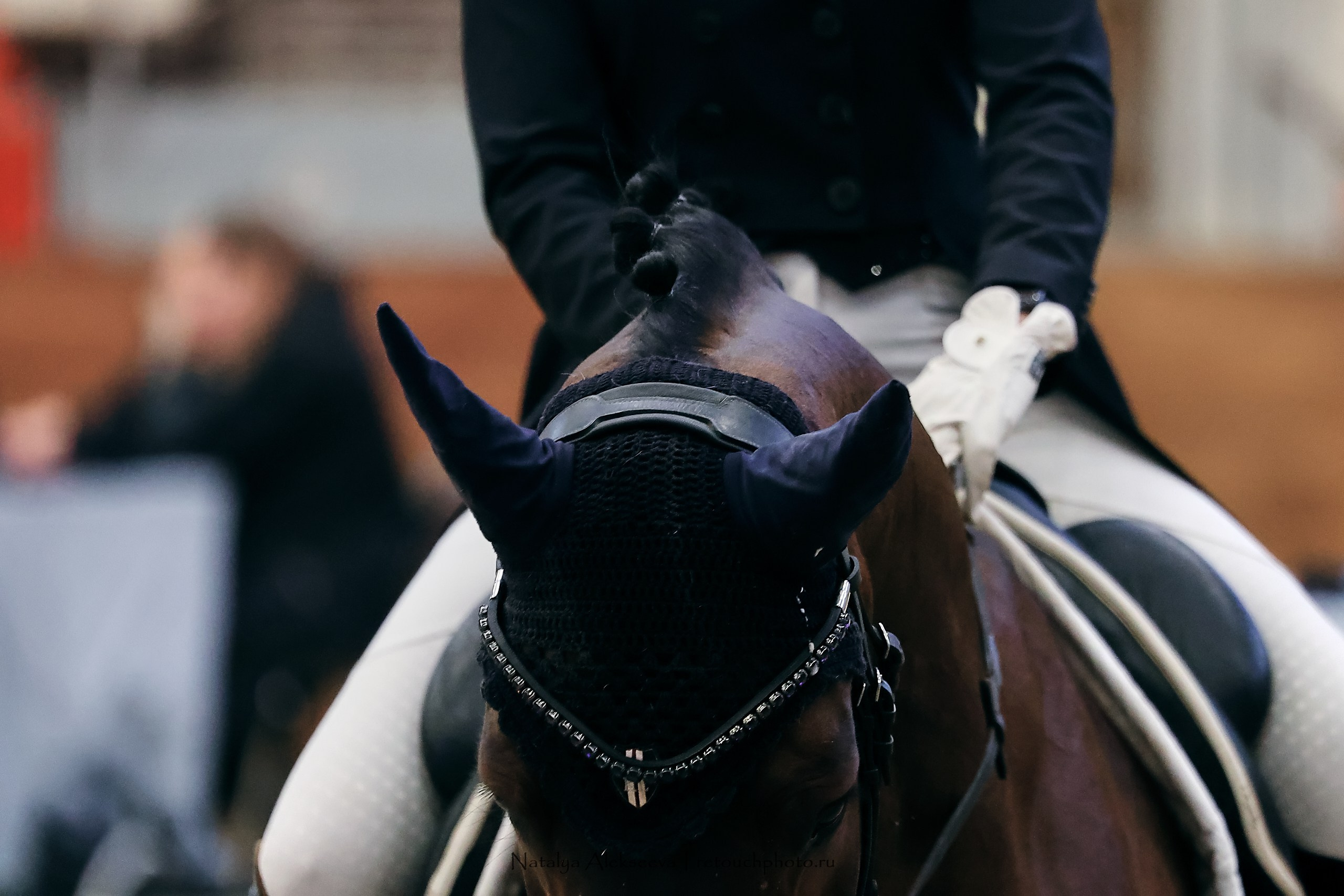 Maxima Masters Eurasia по выездке, Maxima Stables | 12'2023. Репортажный фотограф и ретушер в Москве Наталья Алексеева