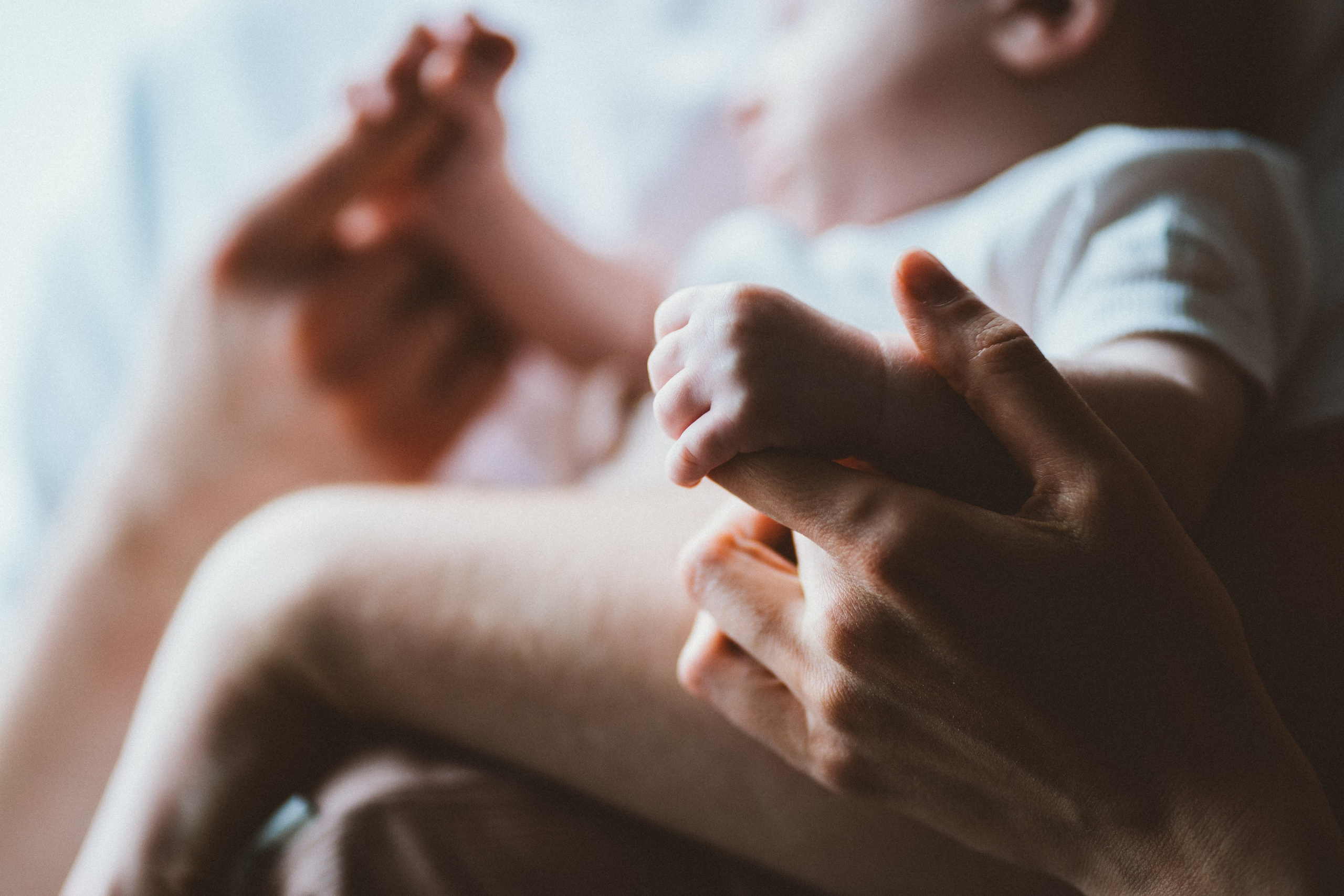 Катя, Женя, Степан и котики