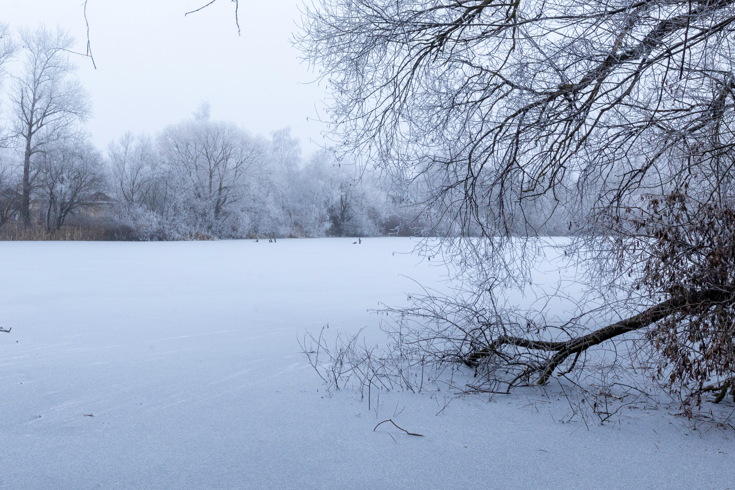 Иней — Менделеевский. Мемориалы Героям Великой Отечественной Войны. Фотограф в Туле Крупский АнДРей. Фотостудия «КАДР71» в Туле