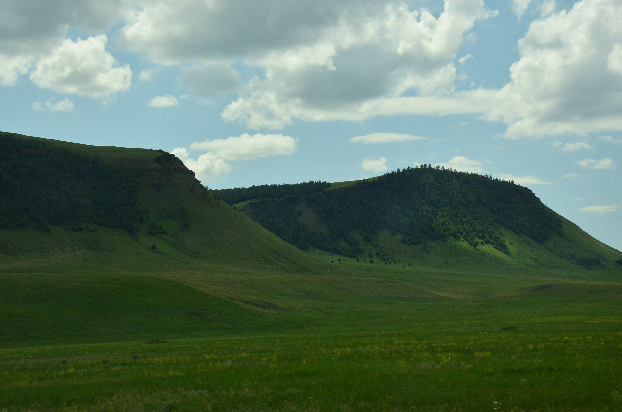 Дары природы. Фотограф viktor viktor
