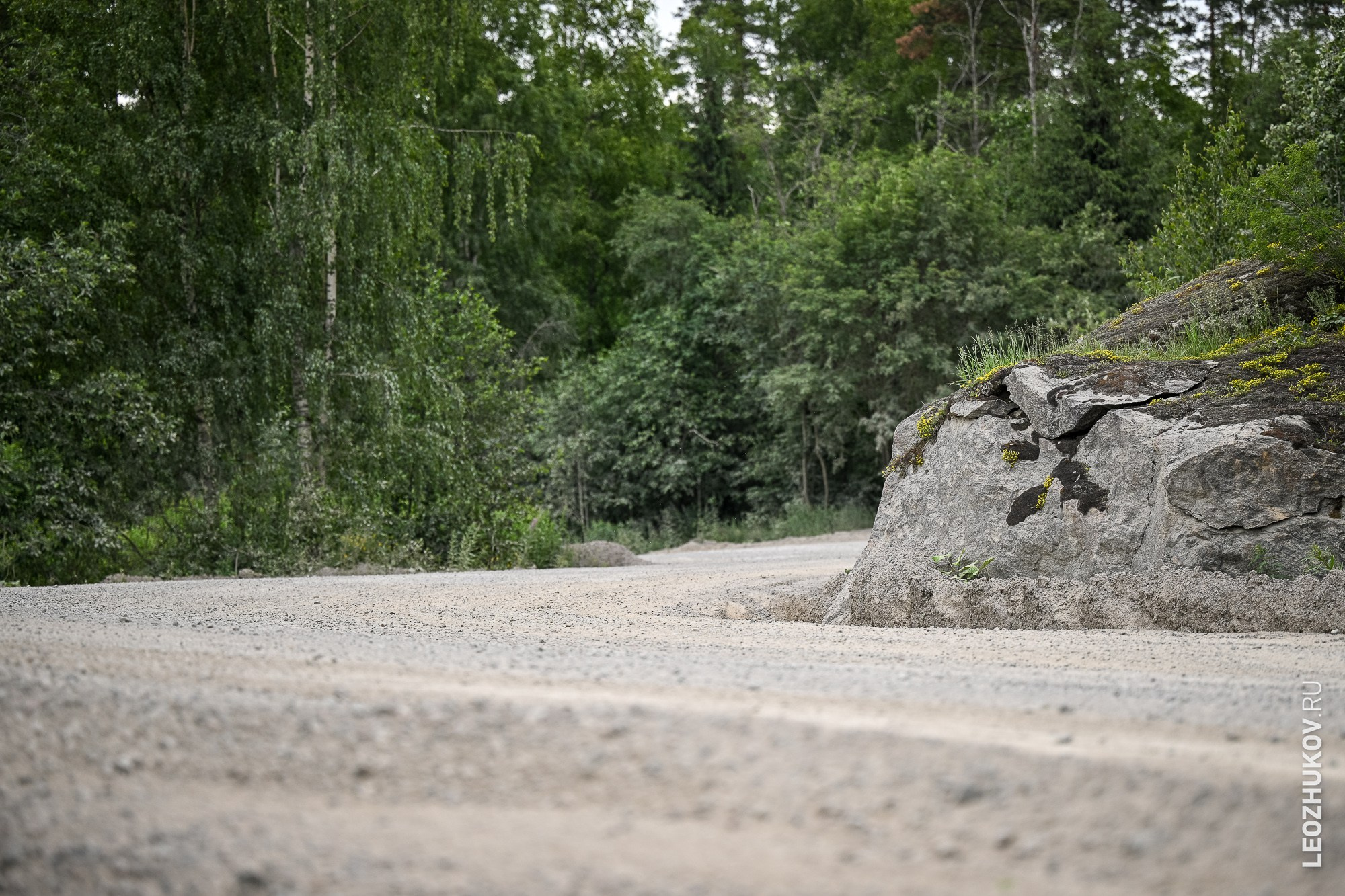 Ралли Белые ночи 2024. Спортивный фотограф Леонид Жуков