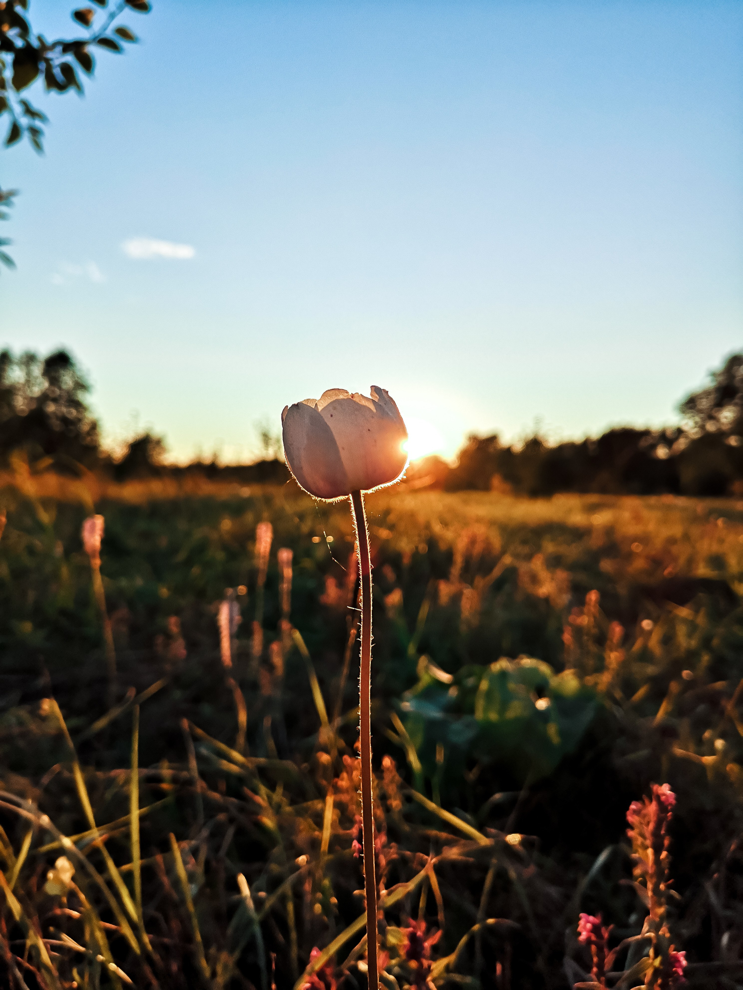 Красноярские столбы. Travel-фотограф Ирина Милинцова
