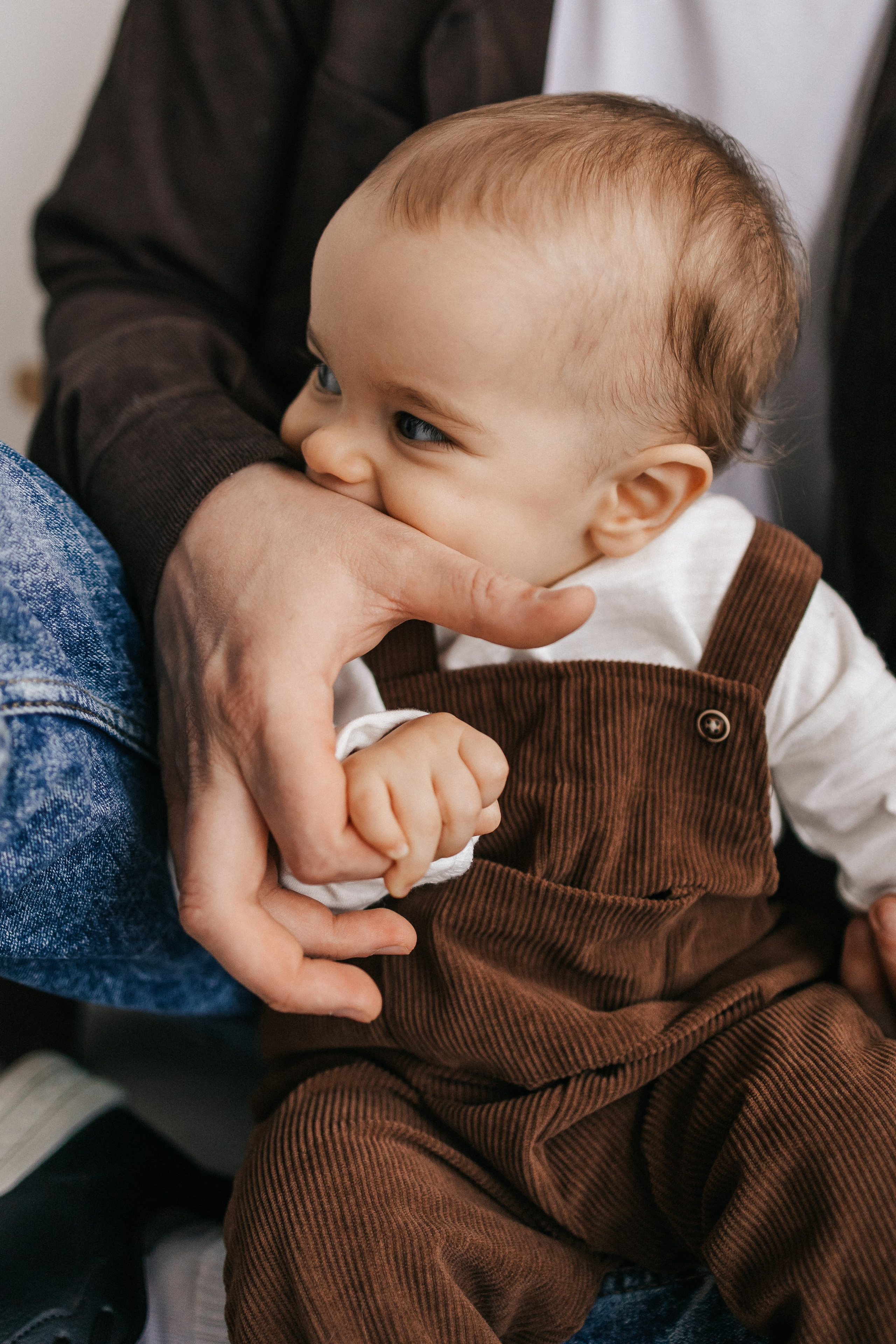 Льву 1 годик. Фотограф Нижний Новгород
