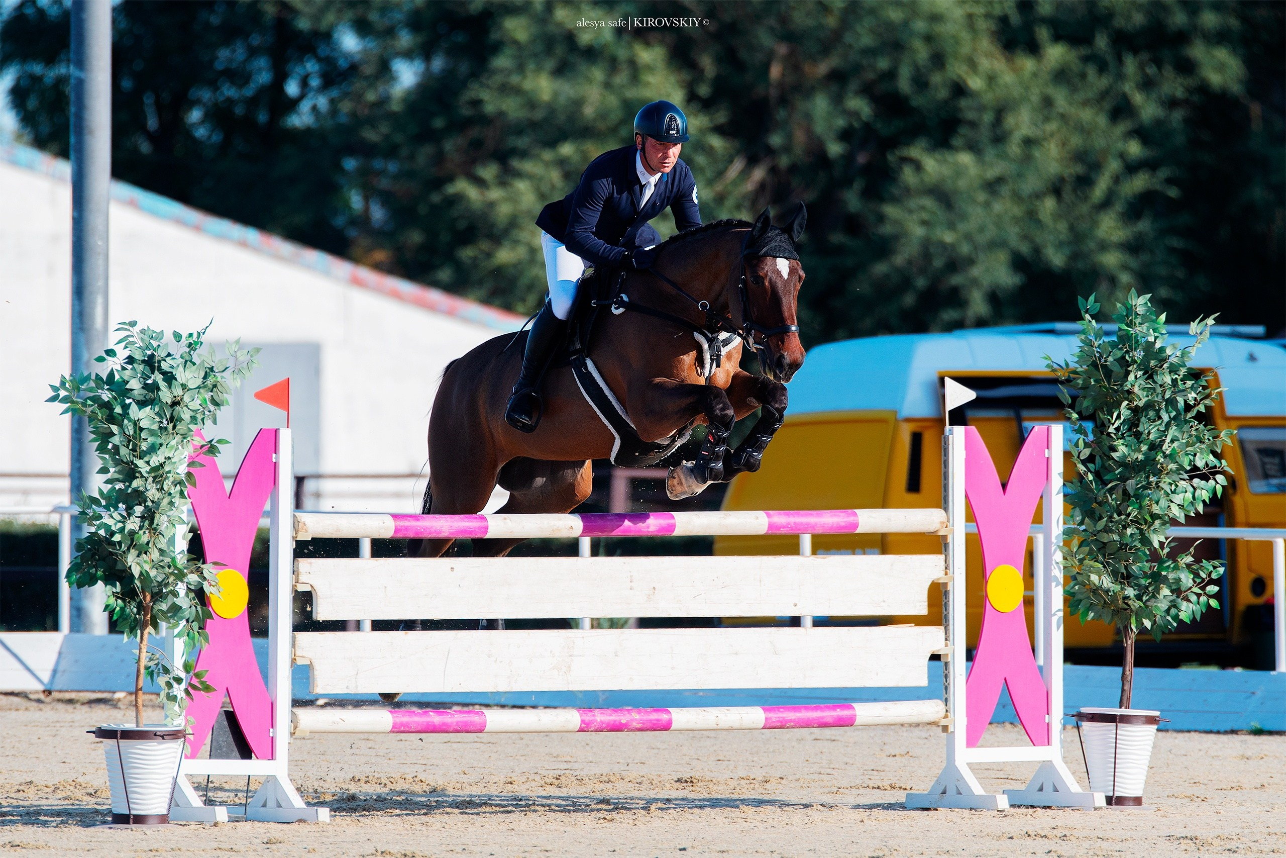 Кировский конный завод. Конный фотограф Alesya Safe