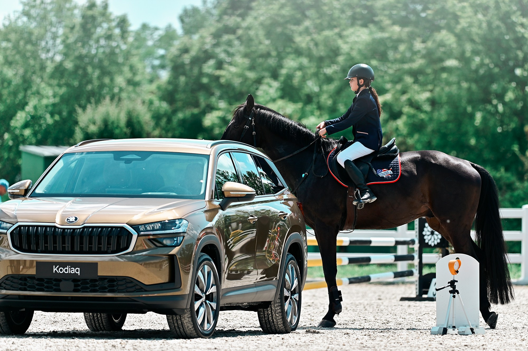 Конкур. Конный фотограф Alesya Safe