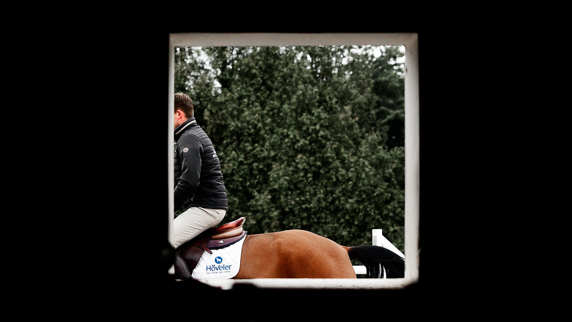 ЕС. Конный фотограф Alesya Safe