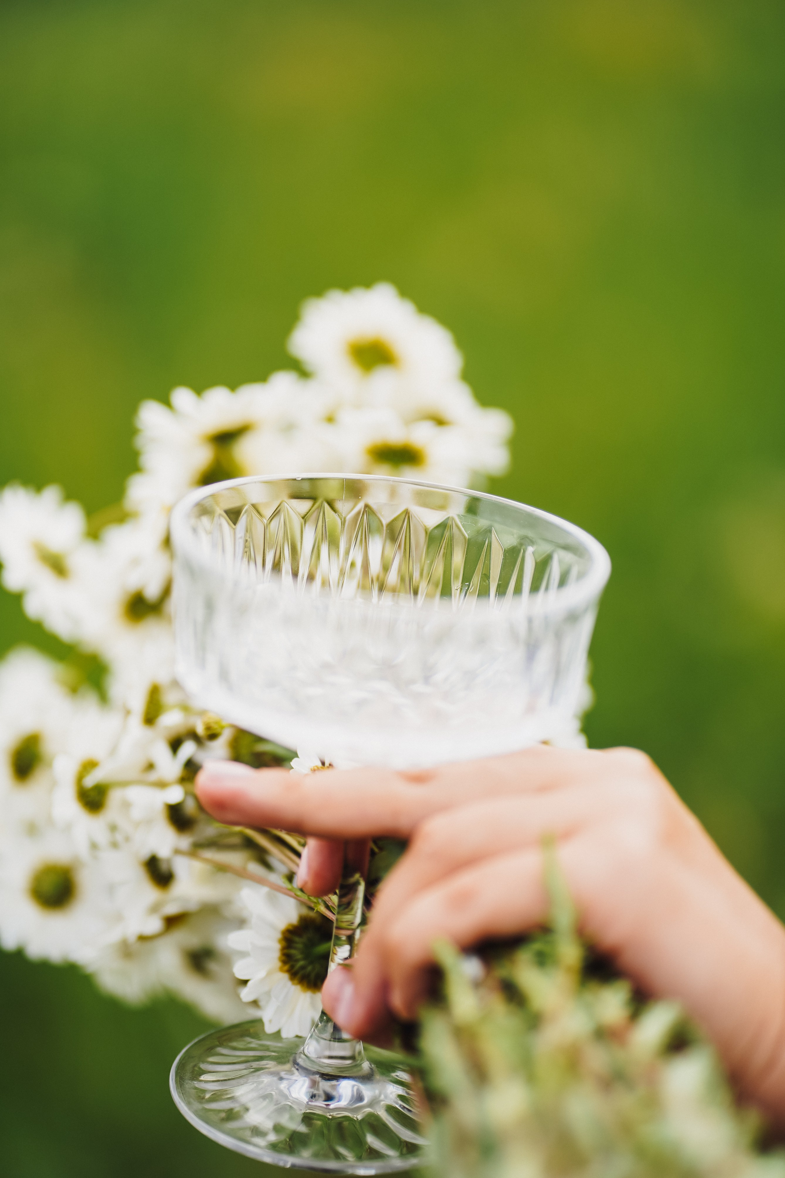 Ира. Семейный и детский фотограф в Москве (Тинао) Галкина Алевтина