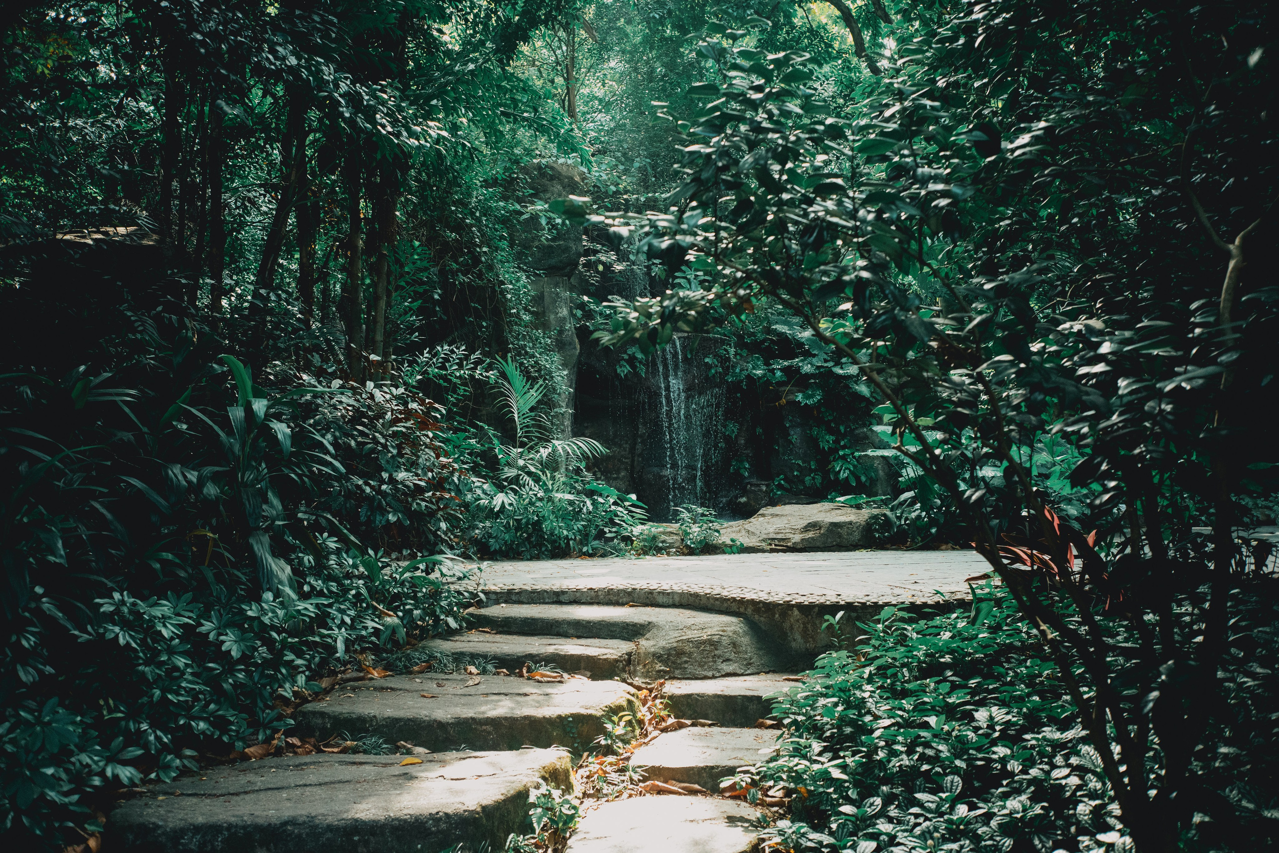 Пресеты. Фотограф Минск