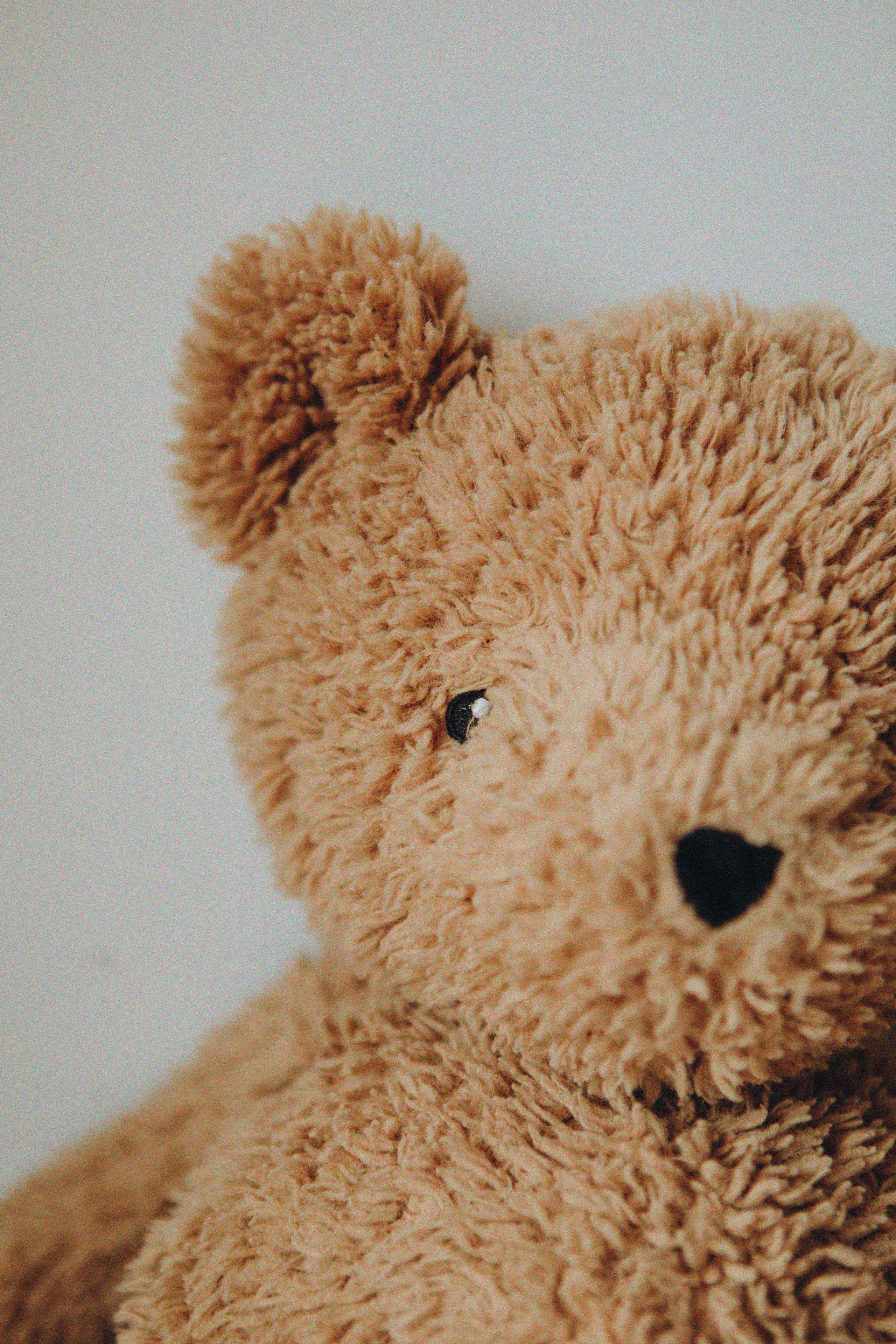 Привет, мишка!. Свадебный и семейный фотограф Арестенко Анастасия