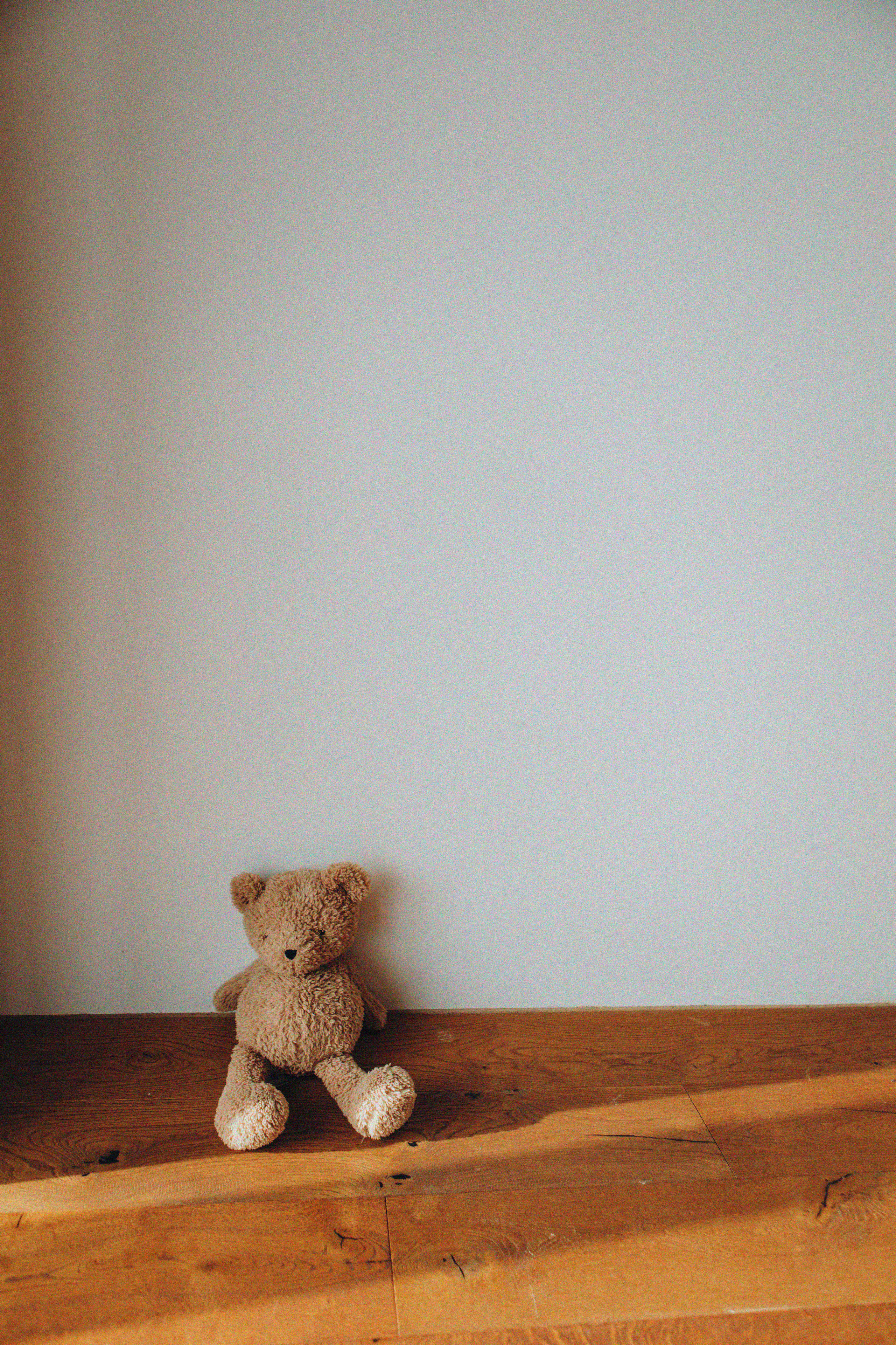 Привет, мишка!. Свадебный и семейный фотограф Арестенко Анастасия