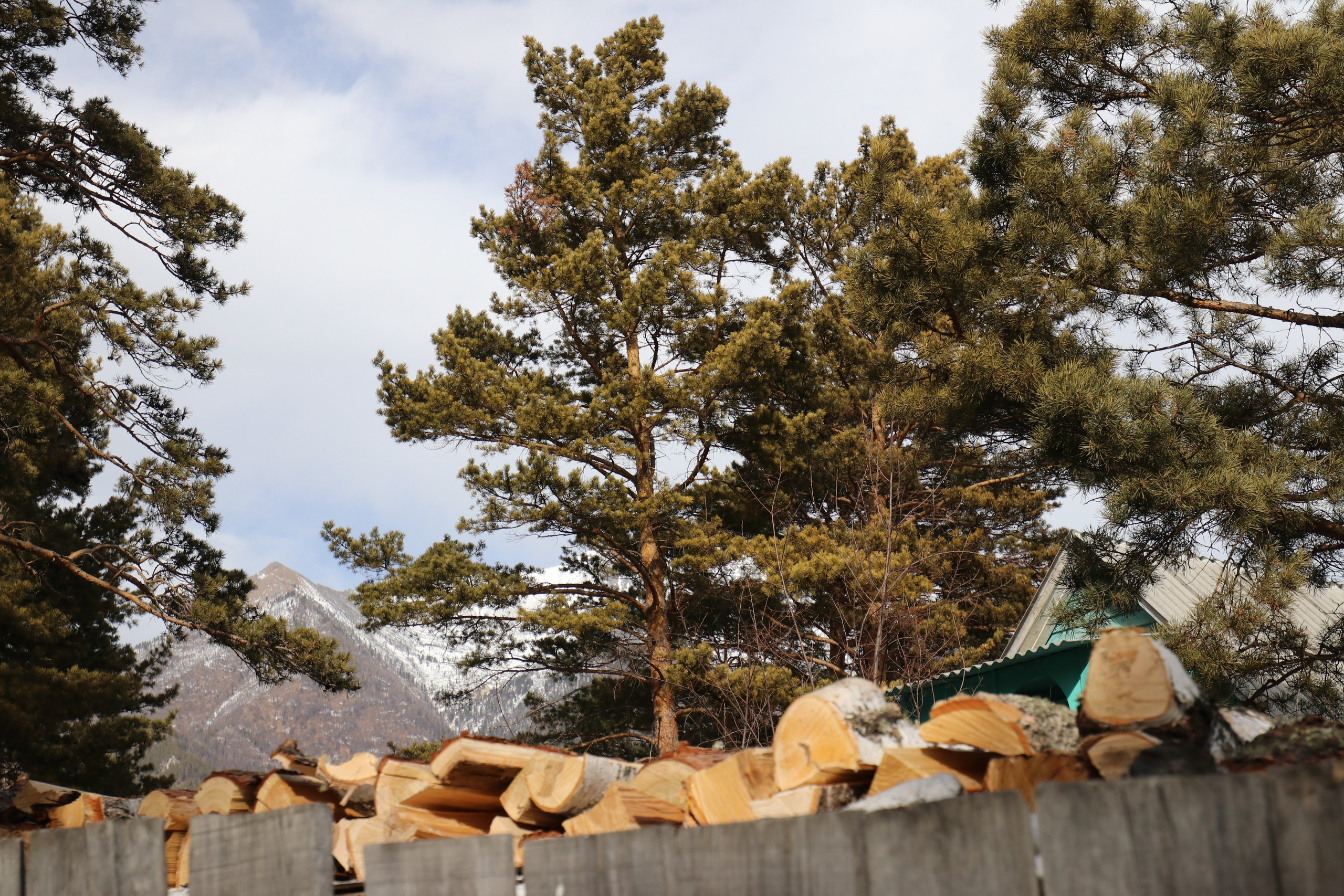 Аршан. Март 2023. Путешественник-фотограф из Санкт-Петербурга Татьяна Свистулина