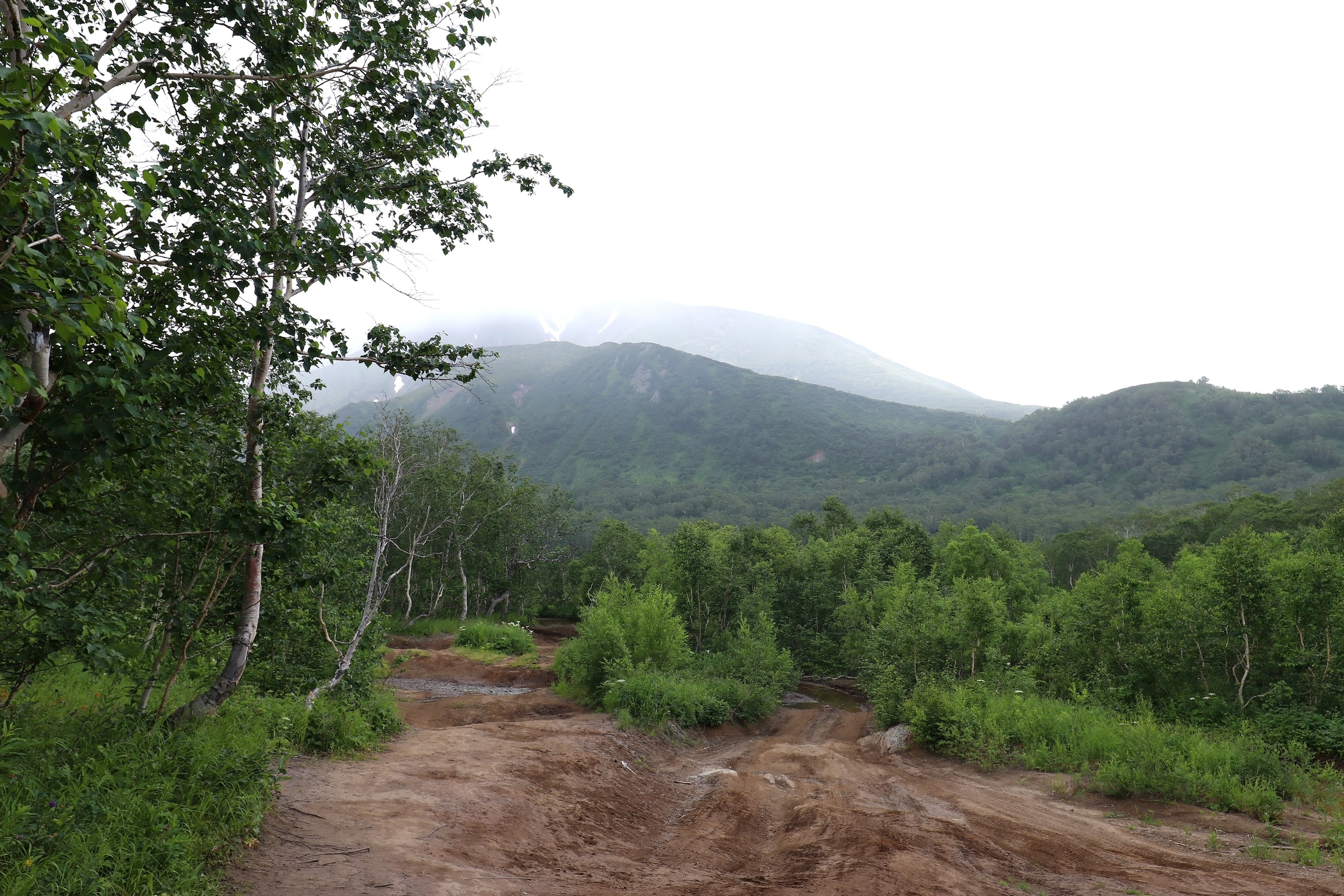 Камчатка и о. Парамушир. Июль 2024. Путешественник-фотограф из Санкт-Петербурга Татьяна Свистулина