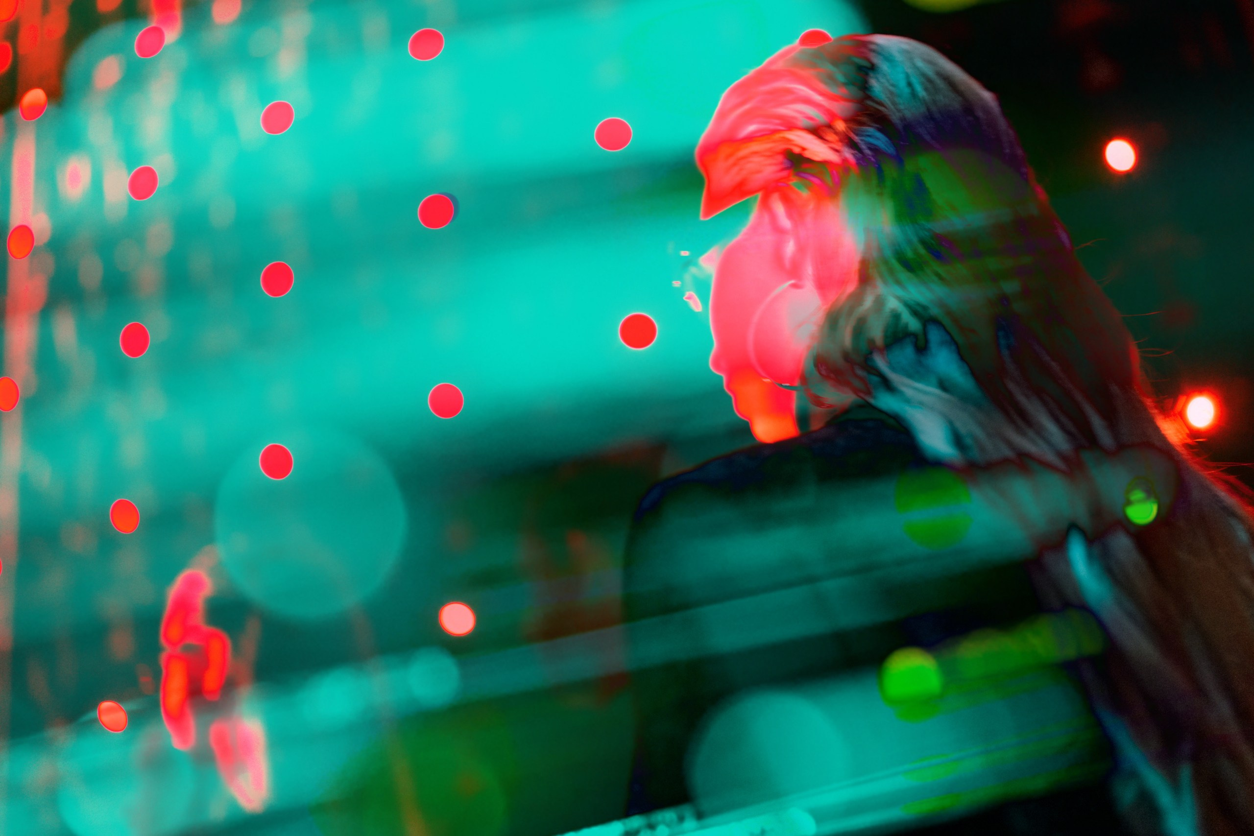 FASHION BACKSTAGE CHAPURIN and FABRIC FANCY SPbFW 2024. Репортажный и студийный фотограф в Санкт-Петербурге Марк Скворцов