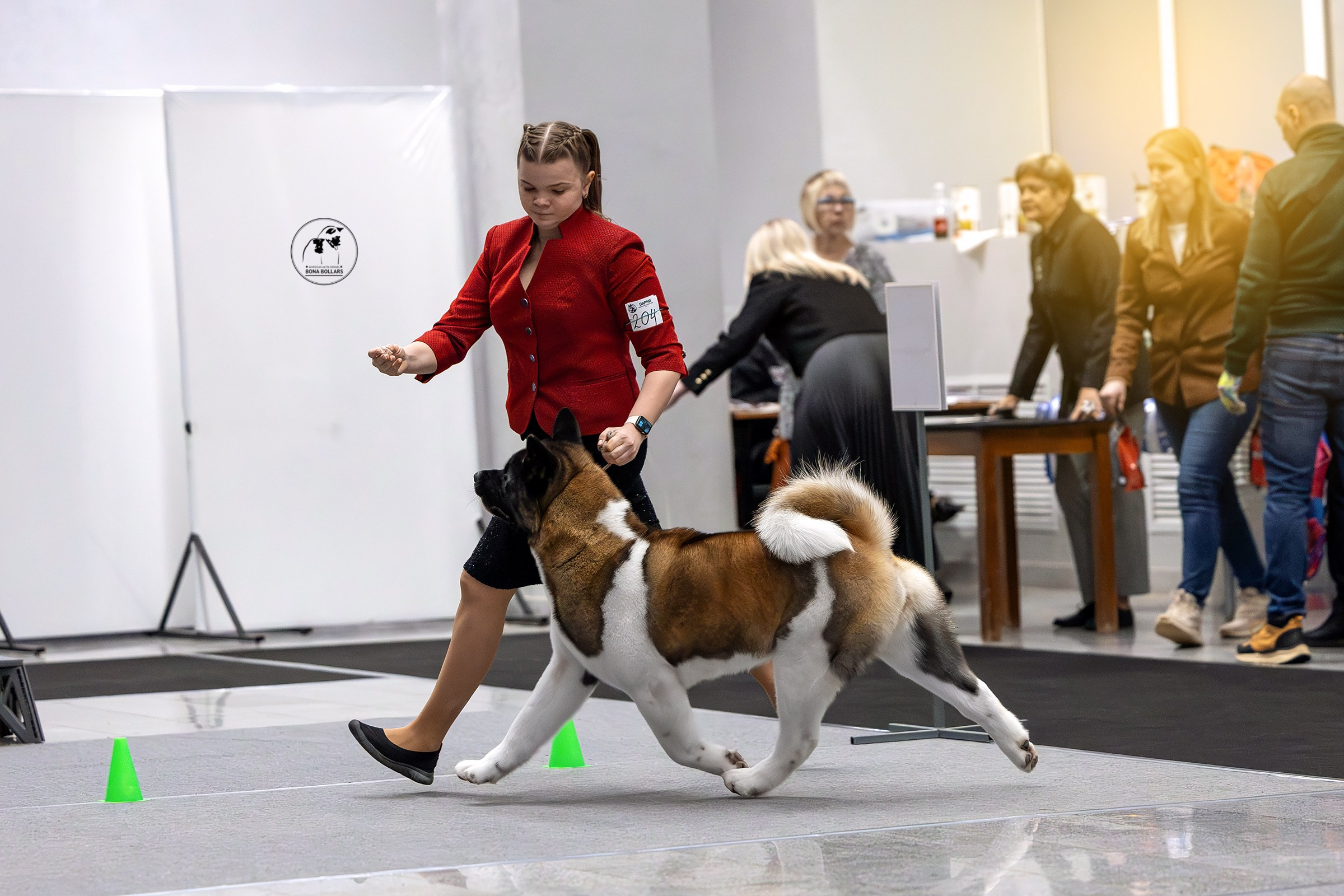 Услуги. Htykk_photo