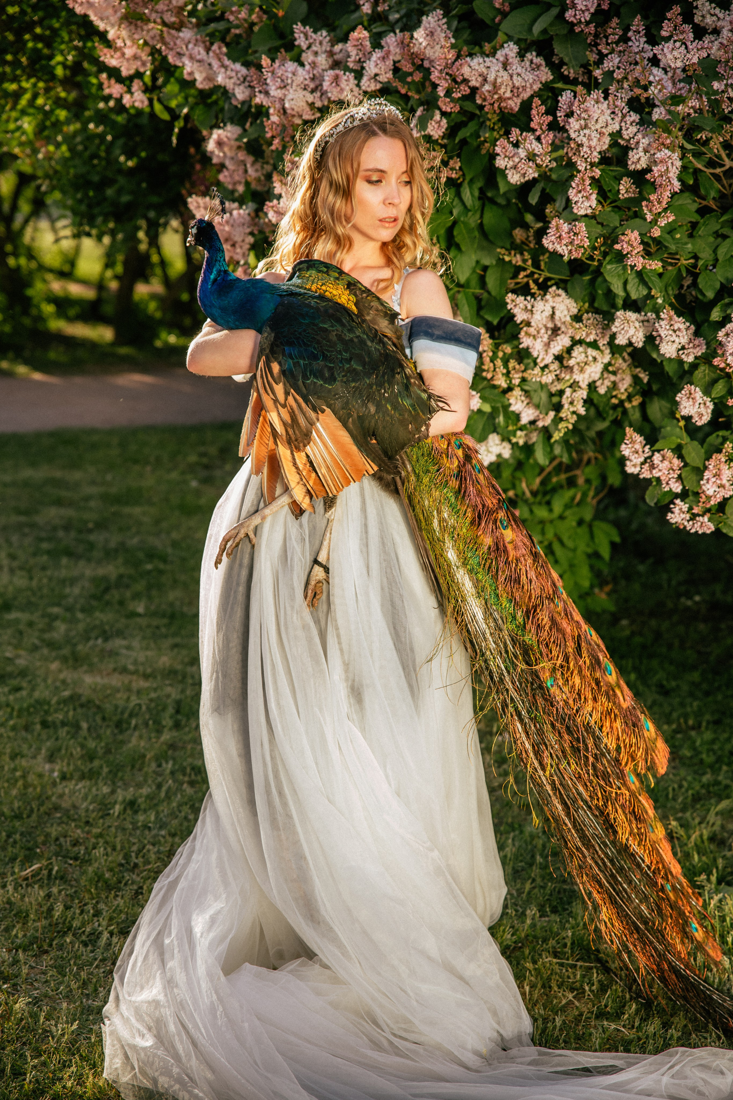 Павлин. Elena Sova — семейный и женский фотограф в Санкт-Петербурге