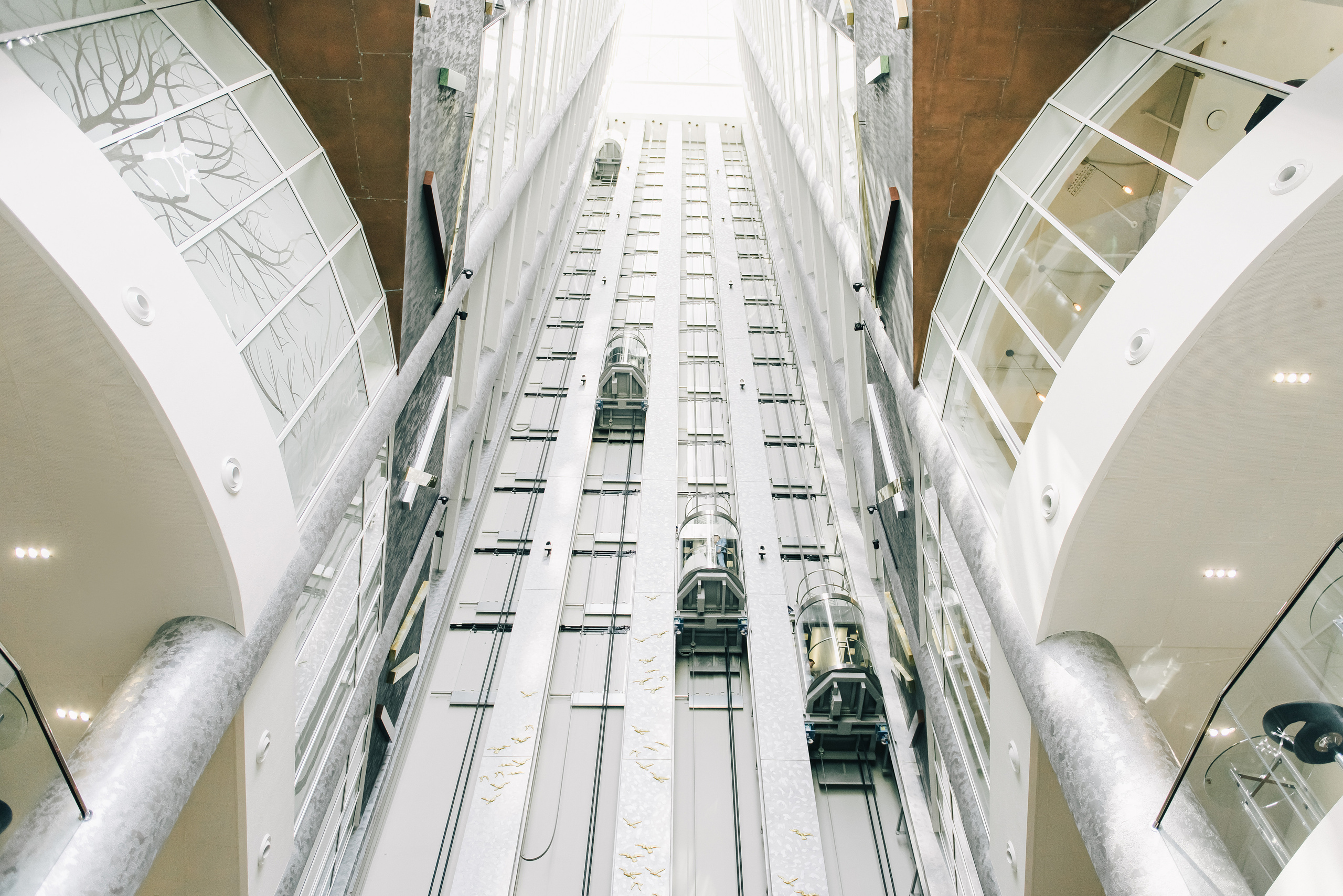 Свадебный фотограф в Краснодаре