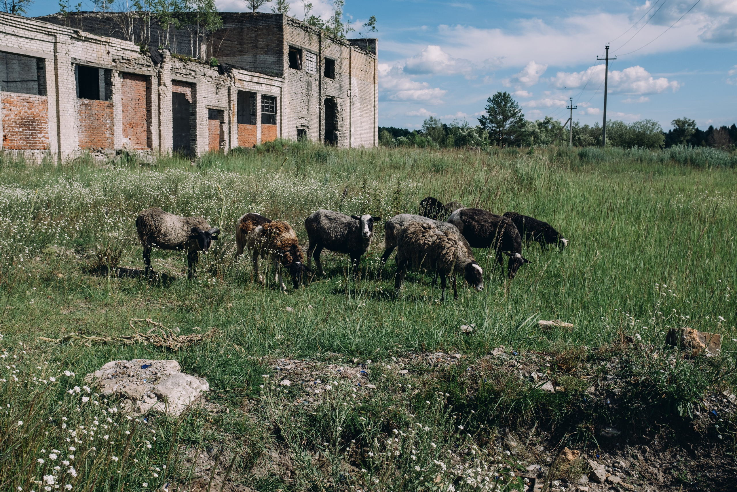 КЛИККЛАК, трэвл. Репортажный и портретный фотограф в Москве Илья Спиридонов