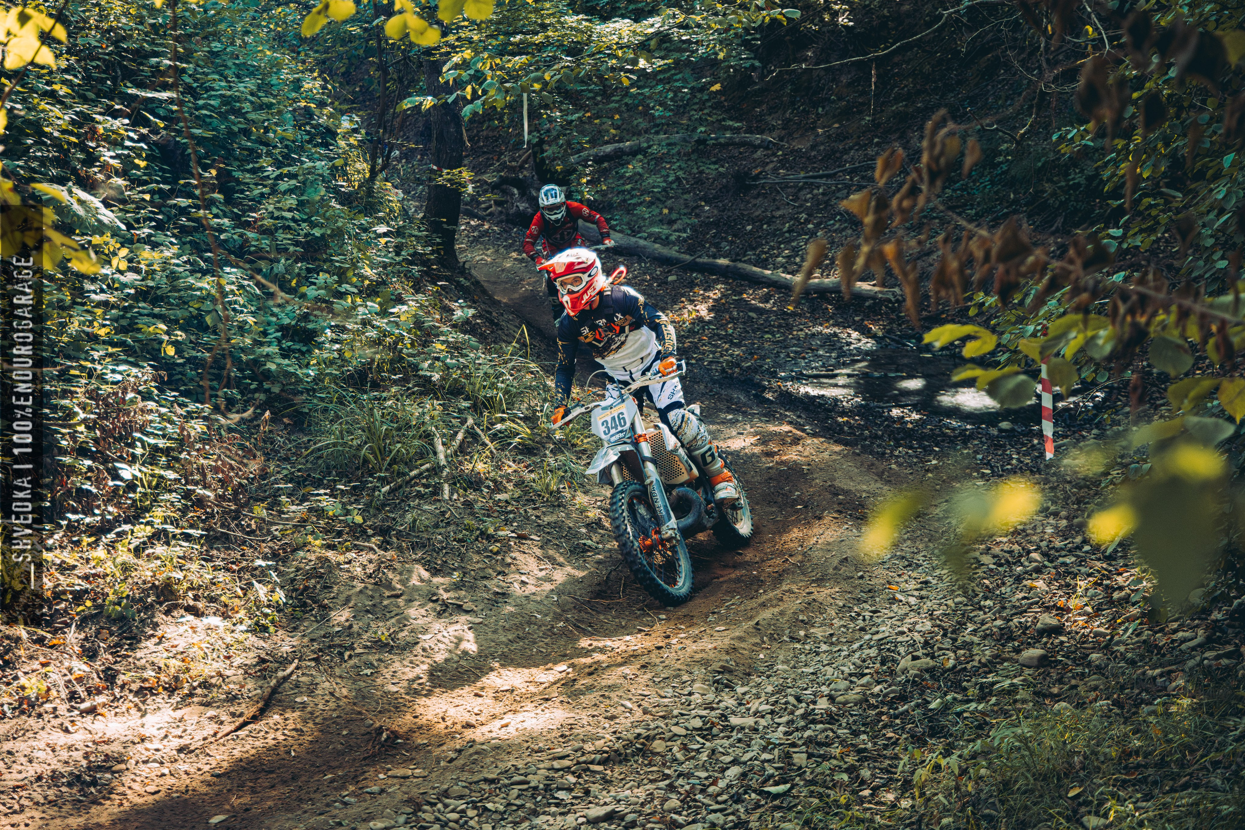 2 лесной день. Ваш экстрим фотограф Кудрева Яна