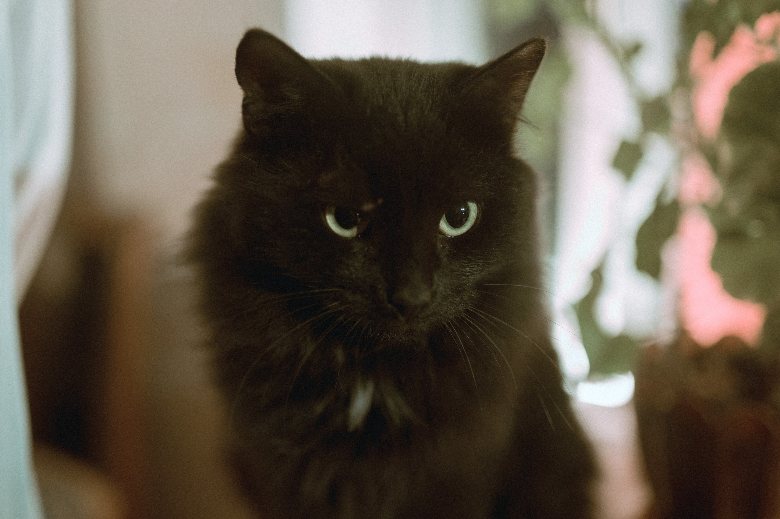 Елена Межова, фолк-группа «Матрёха». Фотограф Зырянова Яна, Снежинск, Екатеринбург, Челябинск