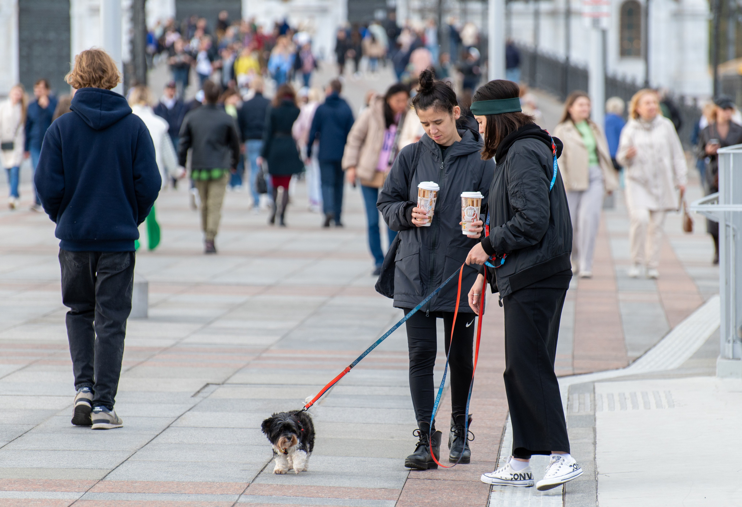 20220917 Арбат — Парк Горького. Дмитрий Ремизов. Фотография, как хобби